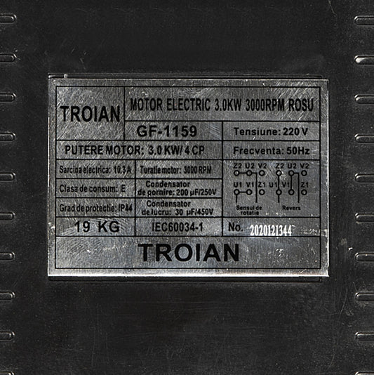 Motor electric Micul Fermier 3KW, 3000 rpm, carcasa fonta