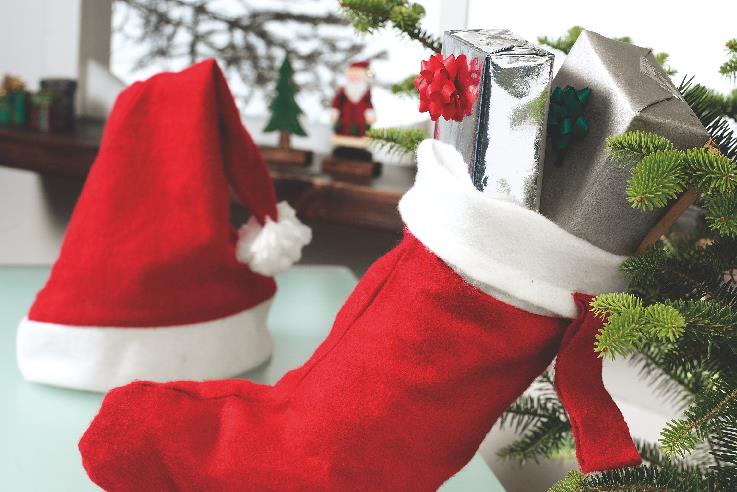 Căciulă de Crăciun.
