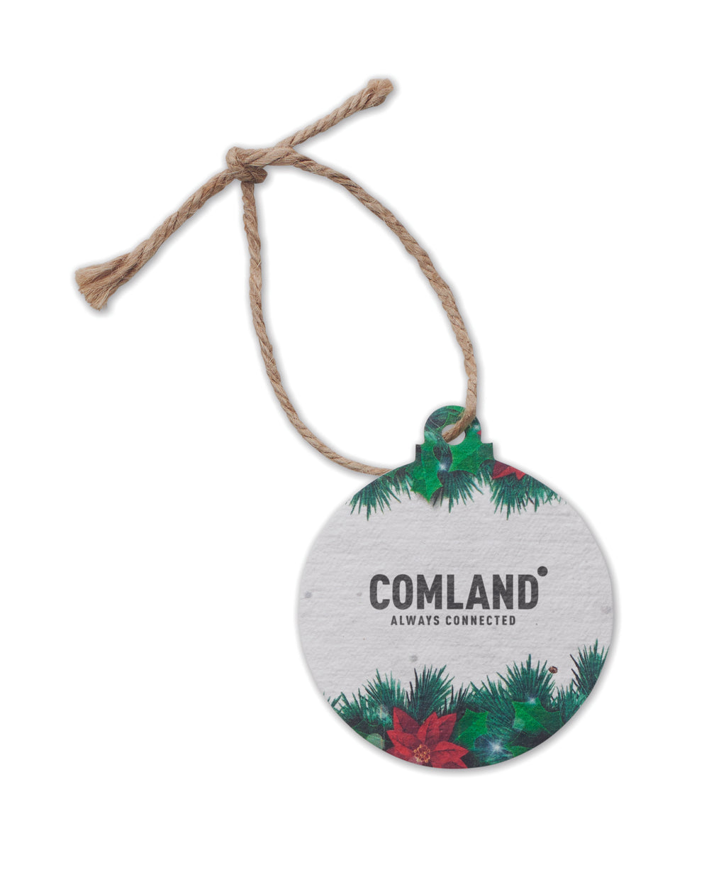 Ornament de Crăciun cu semințe