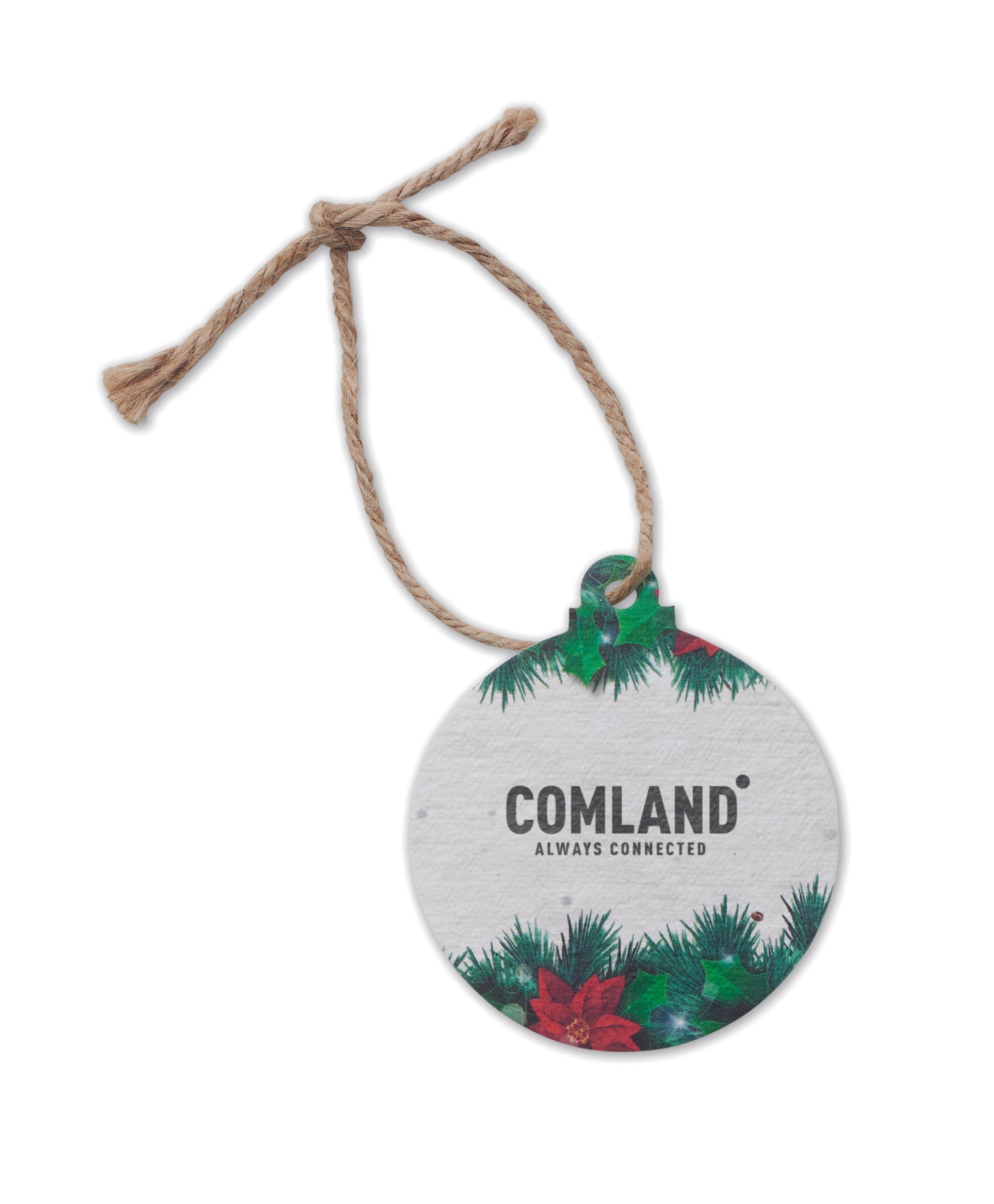 Ornament de Crăciun cu semințe