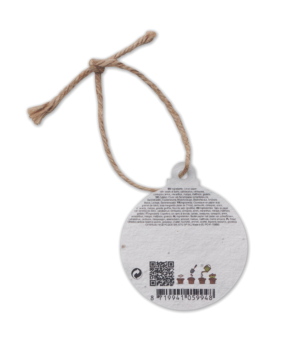 Ornament de Crăciun cu semințe