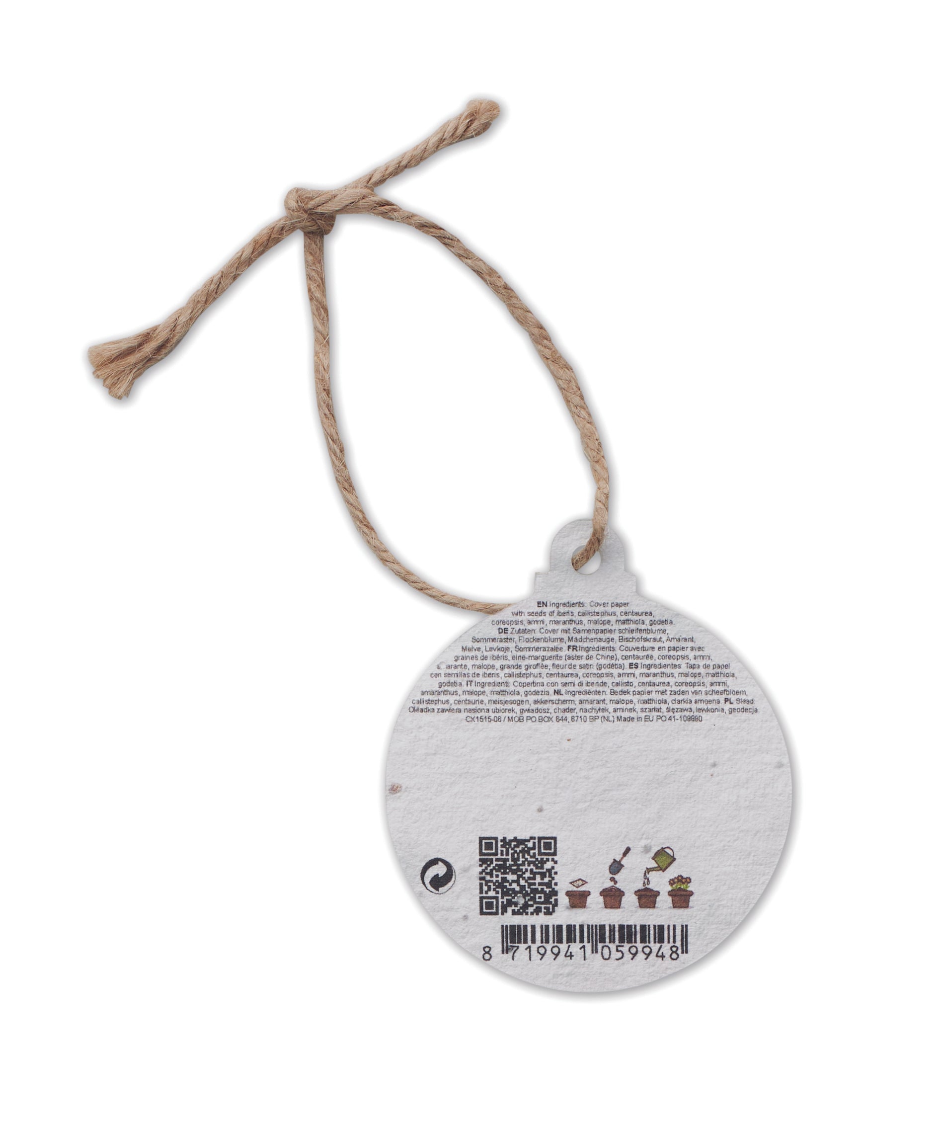 Ornament de Crăciun cu semințe