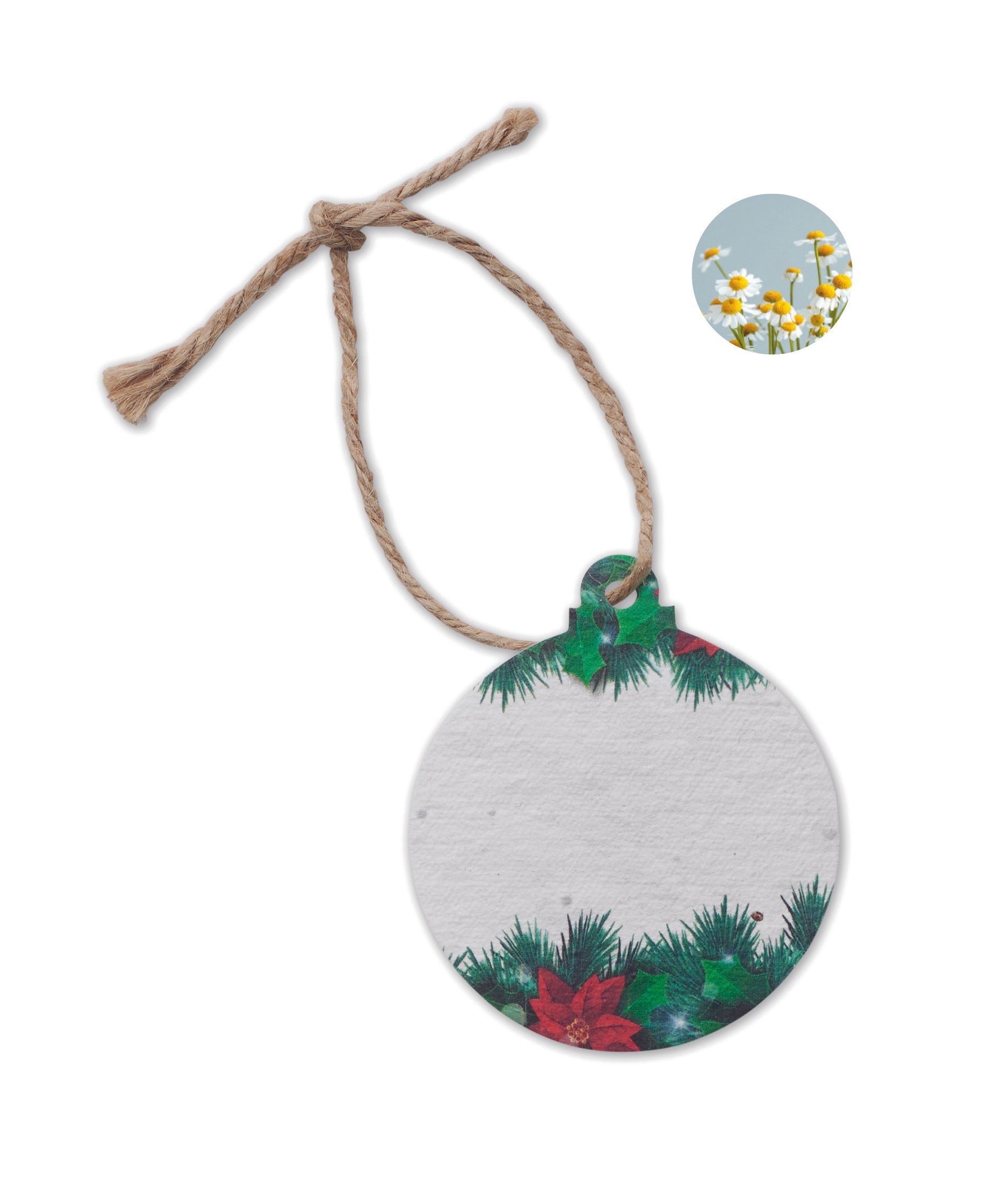 Ornament de Crăciun cu semințe