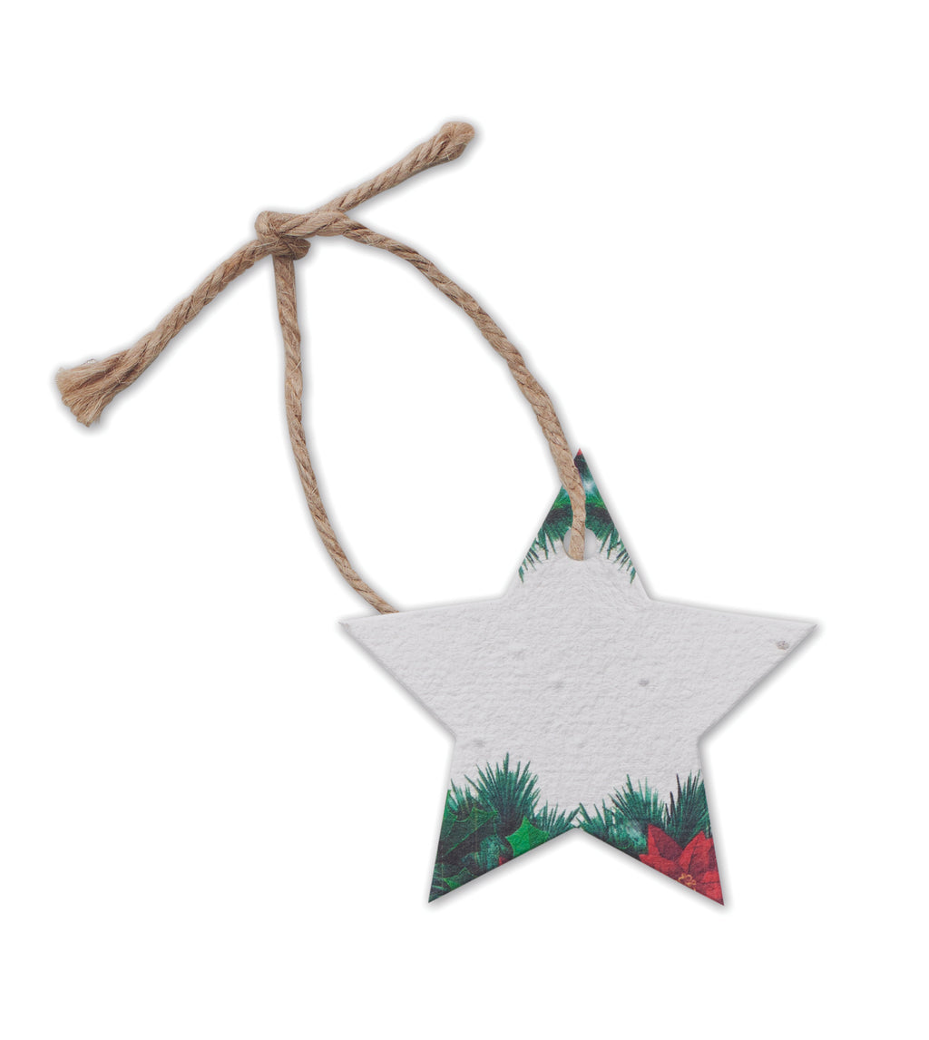 Ornament de Crăciun cu semințe