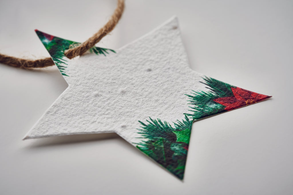 Ornament de Crăciun cu semințe