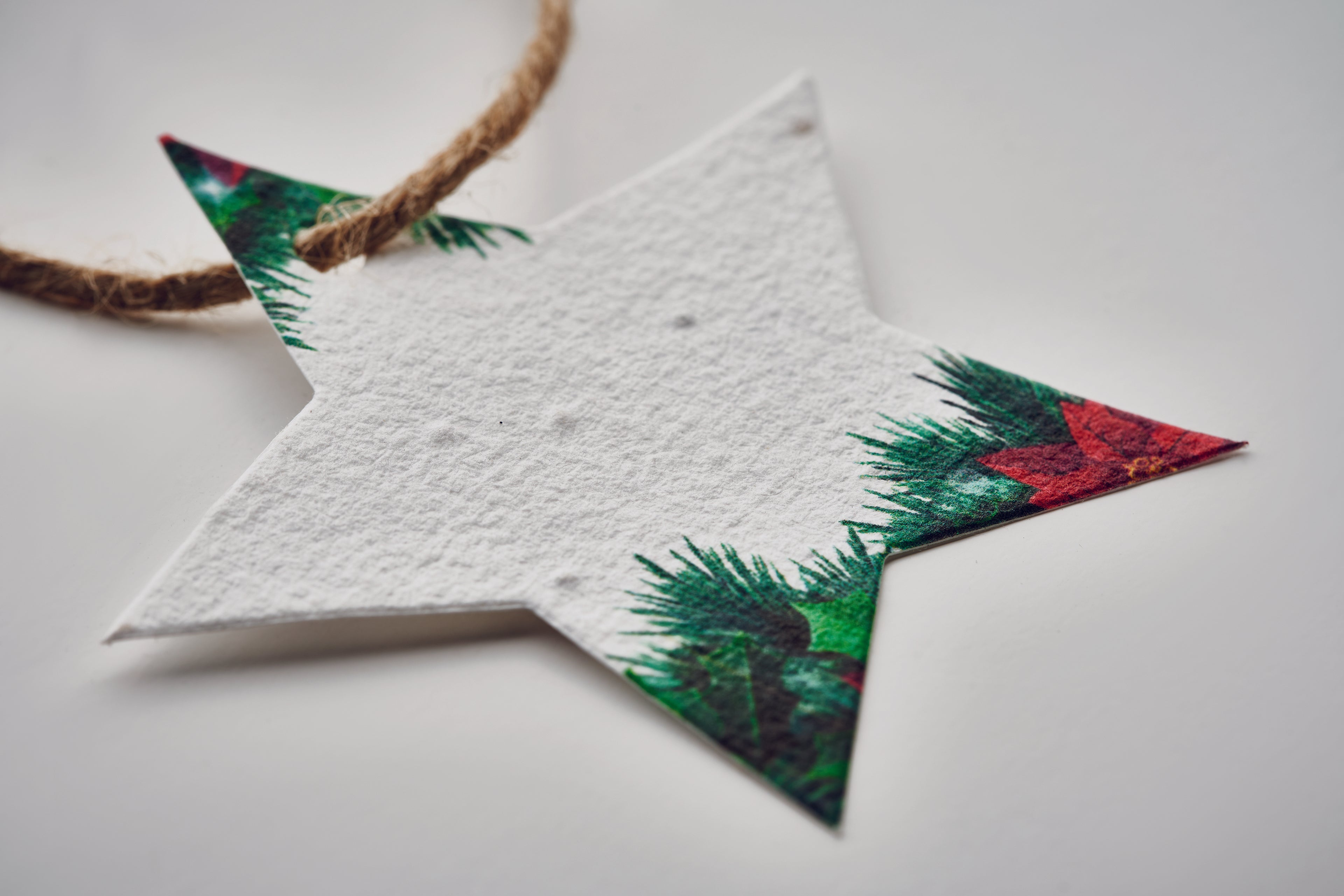 Ornament de Crăciun cu semințe