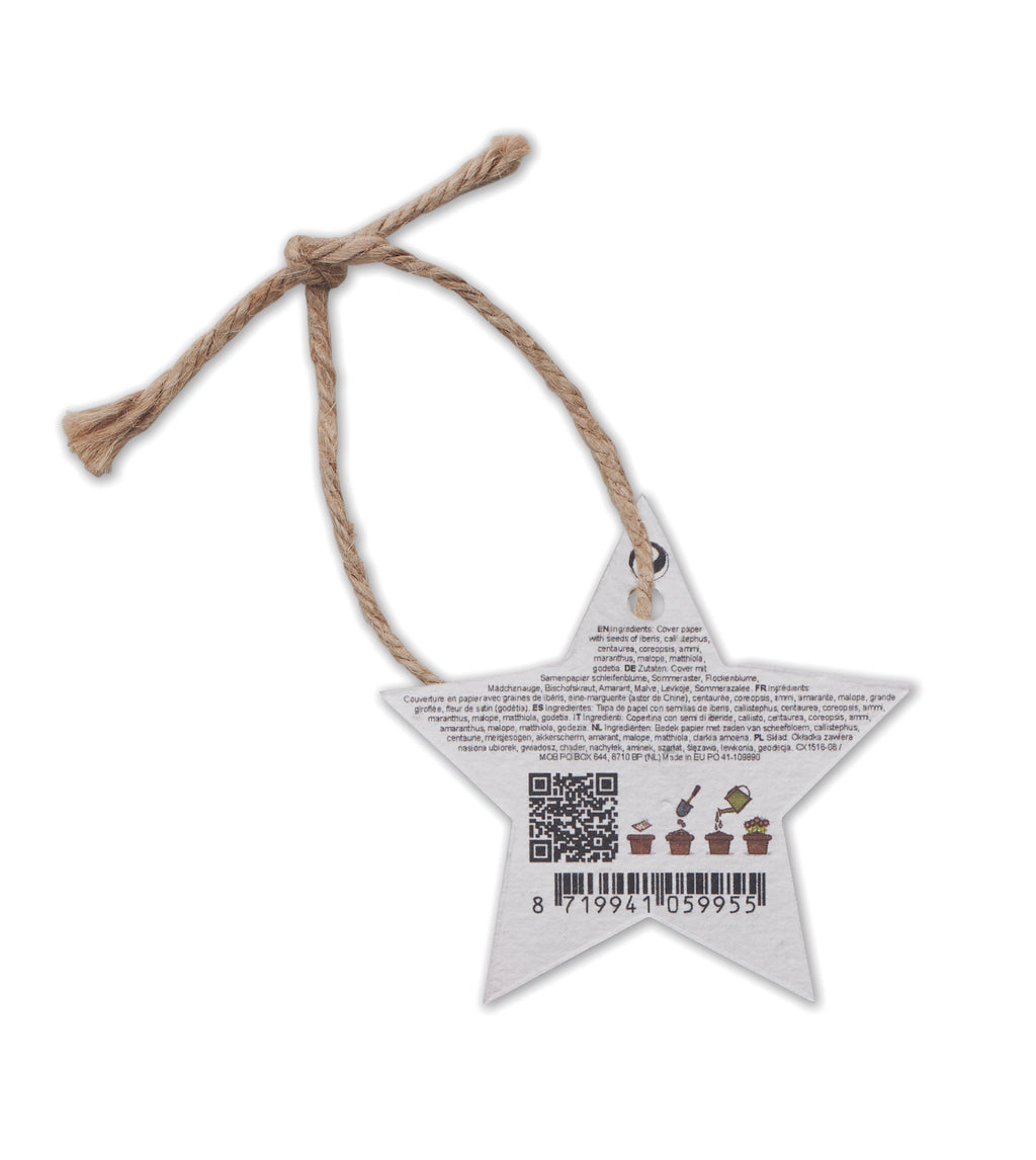 Ornament de Crăciun cu semințe