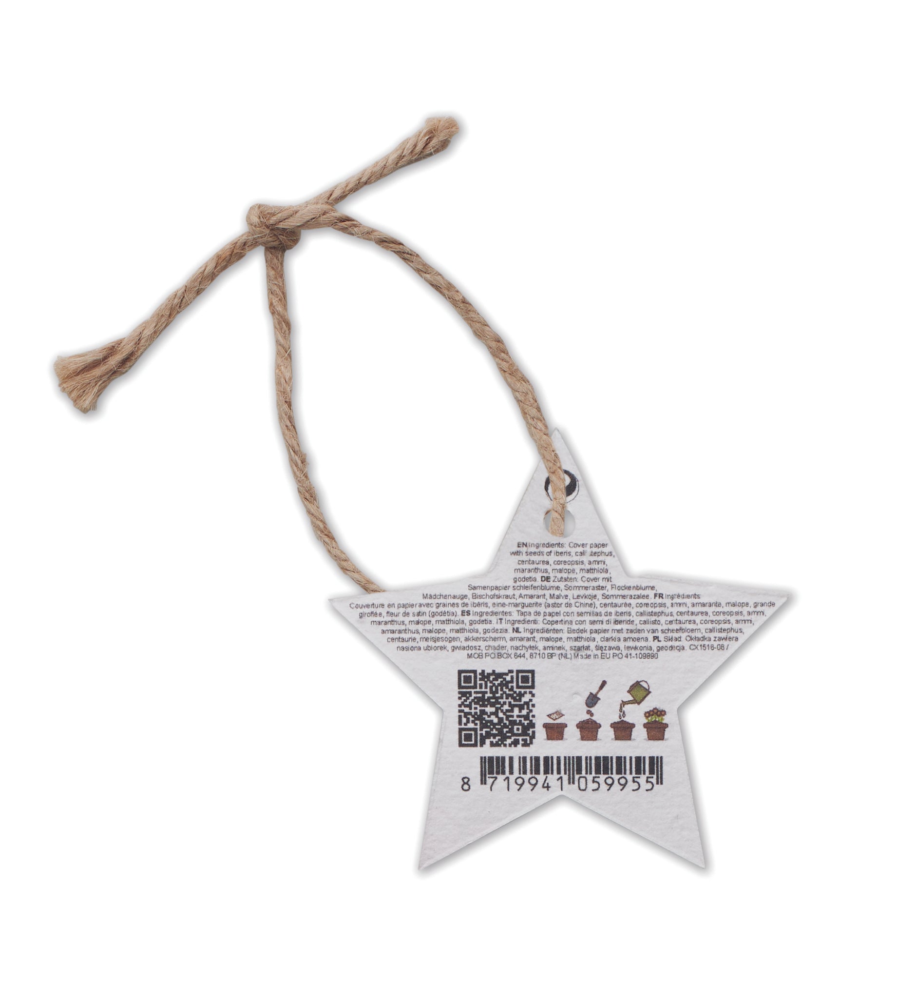 Ornament de Crăciun cu semințe