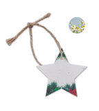 Ornament de Crăciun cu semințe