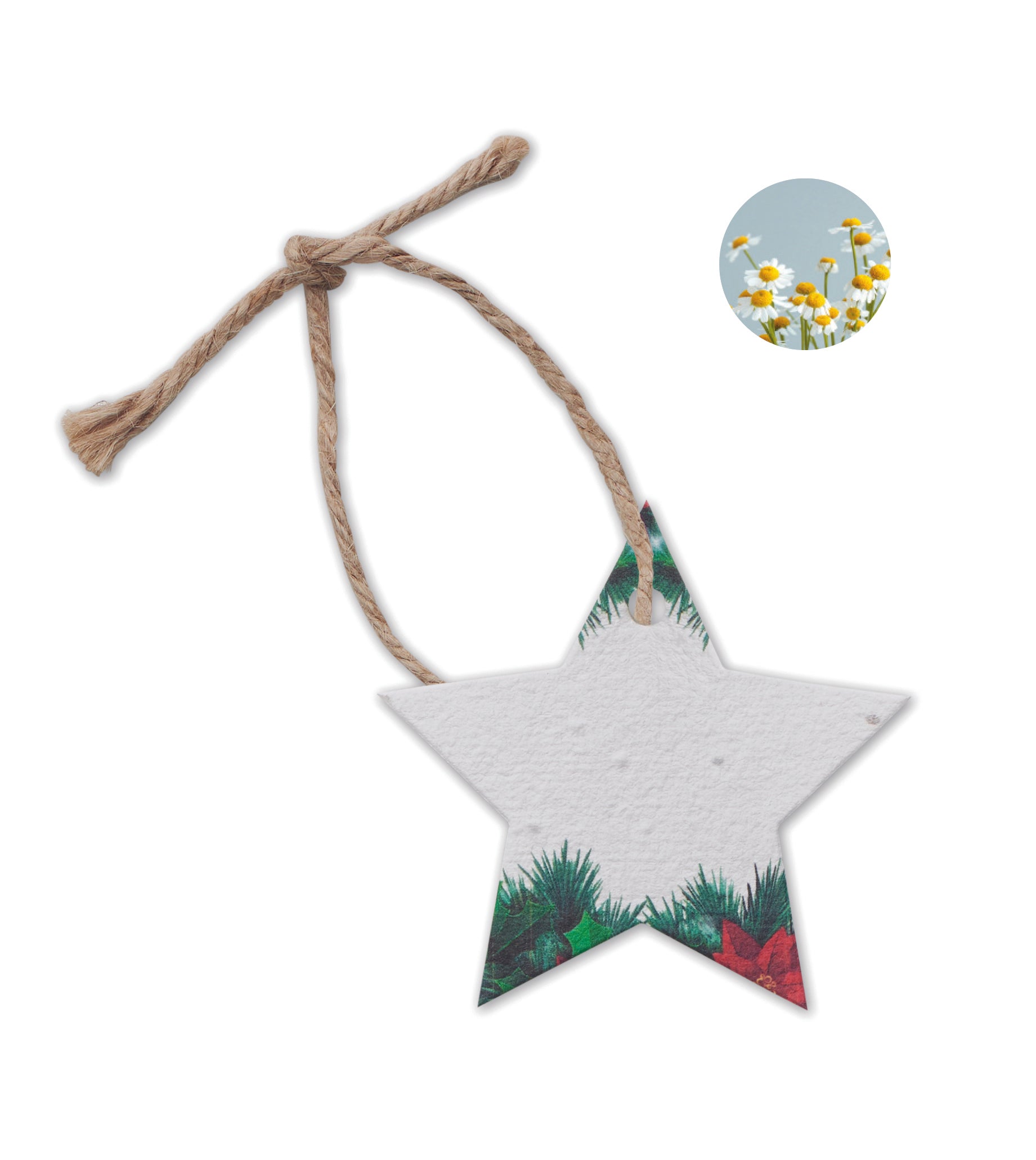 Ornament de Crăciun cu semințe