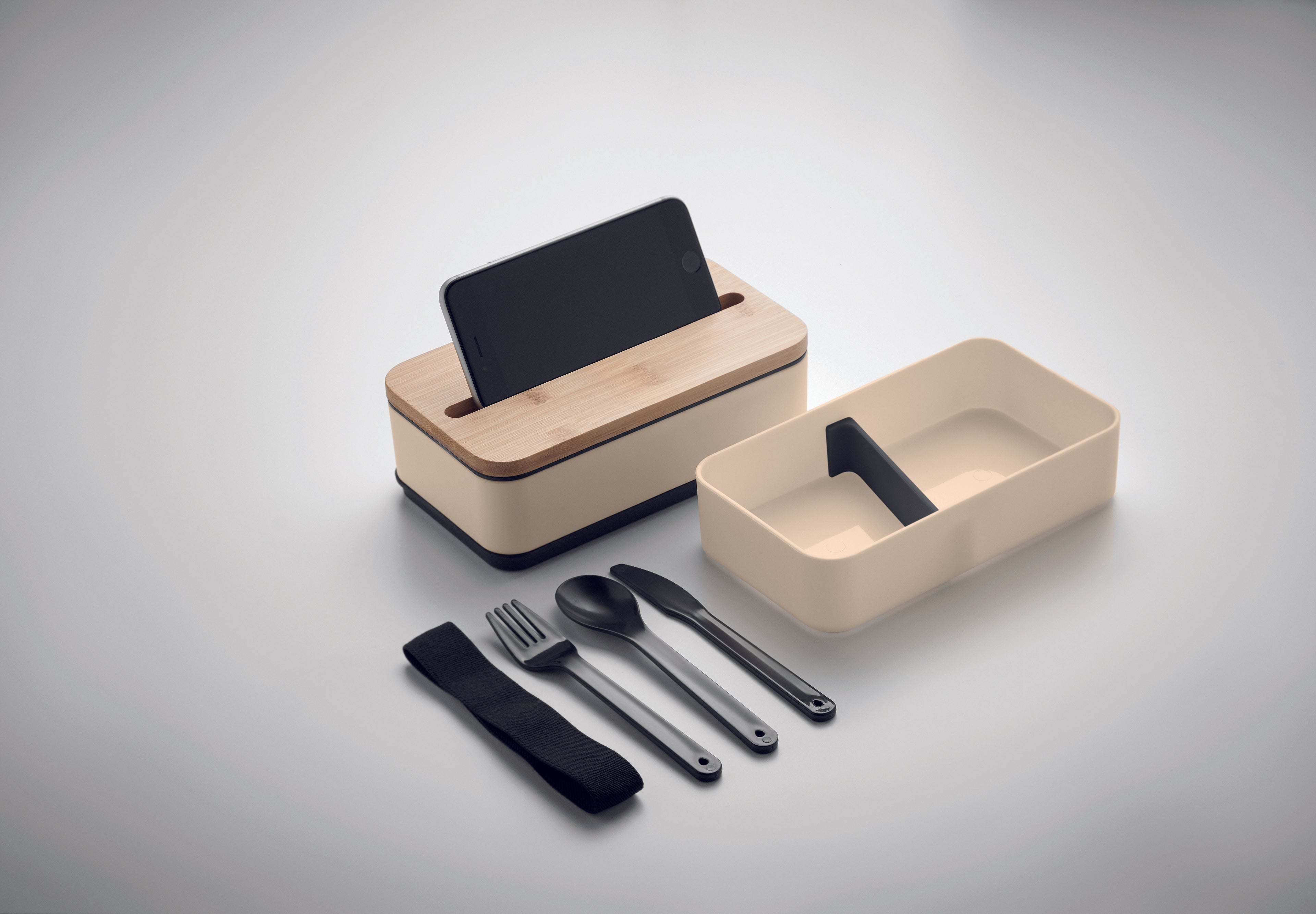 Cutie de prânz din PP