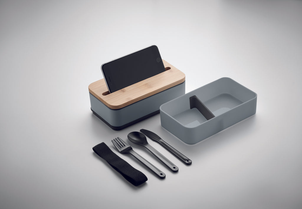 Cutie de prânz din PP