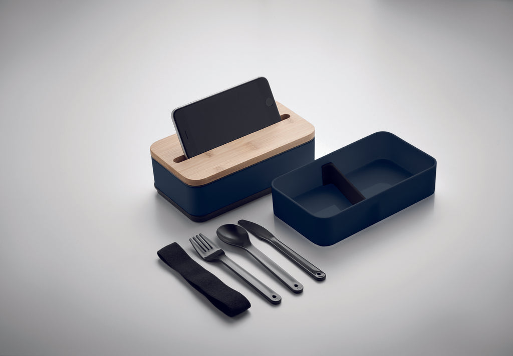 Cutie de prânz din PP