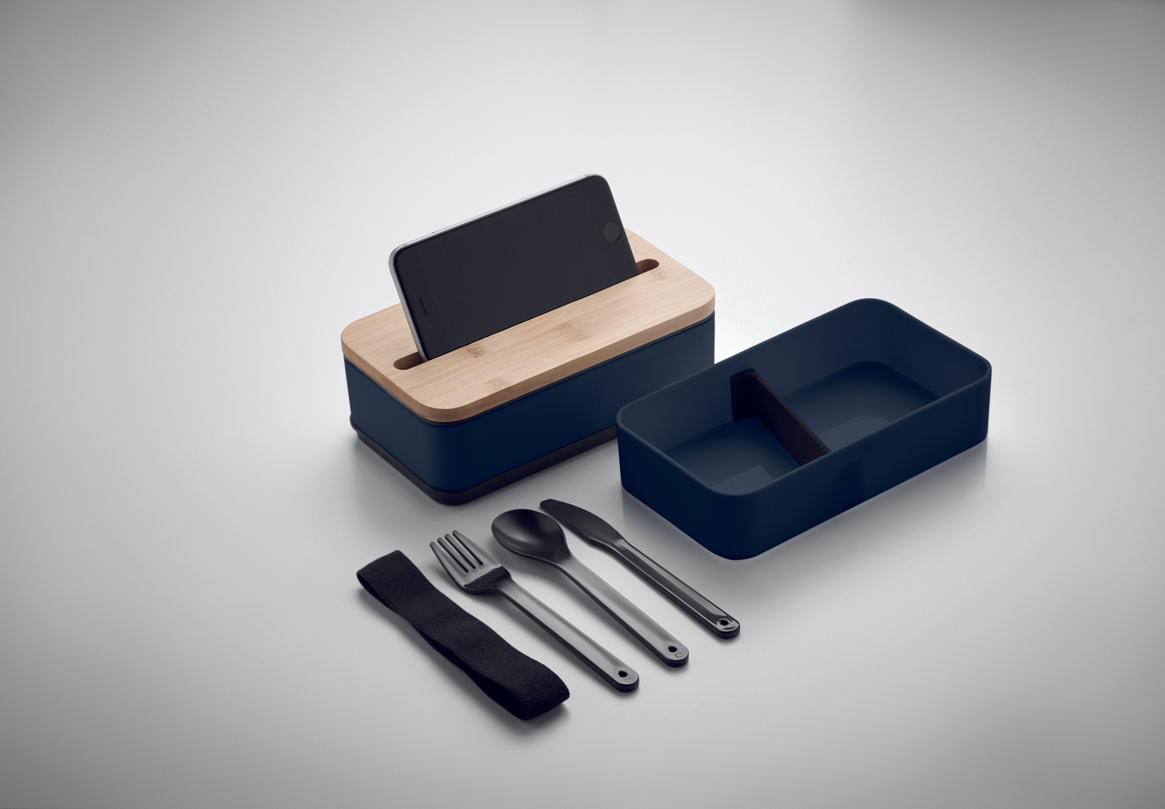 Cutie de prânz din PP