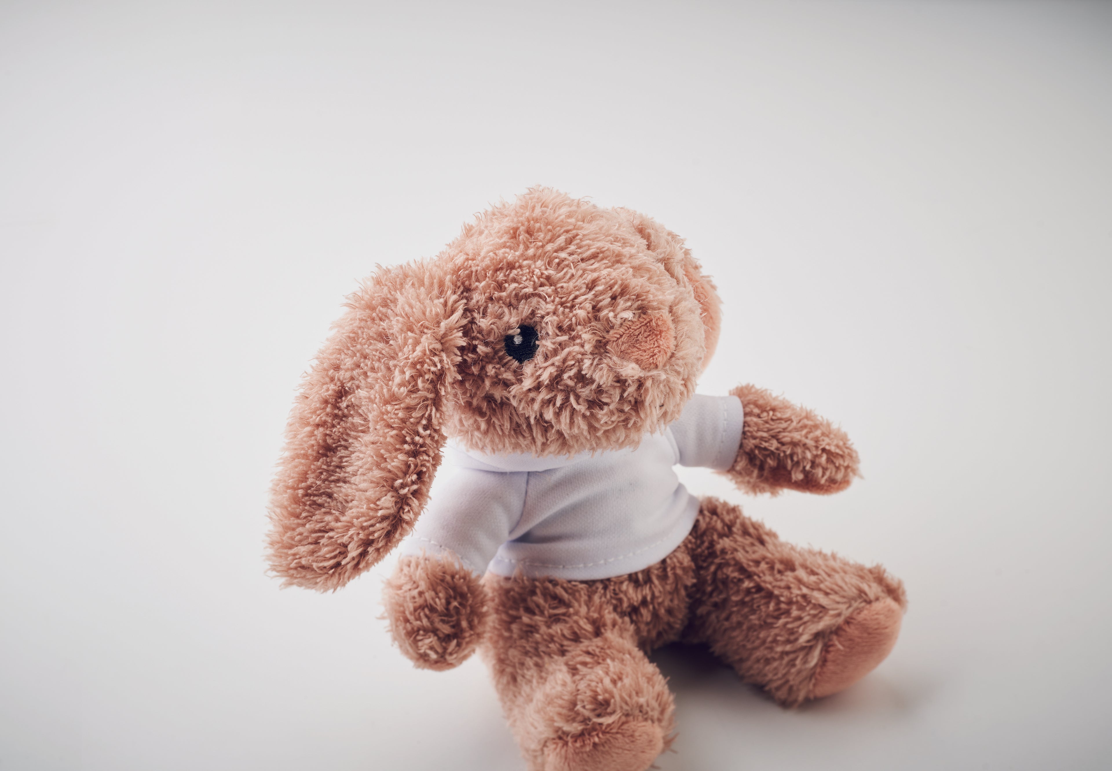 Iepuraș de pluș cu hanorac