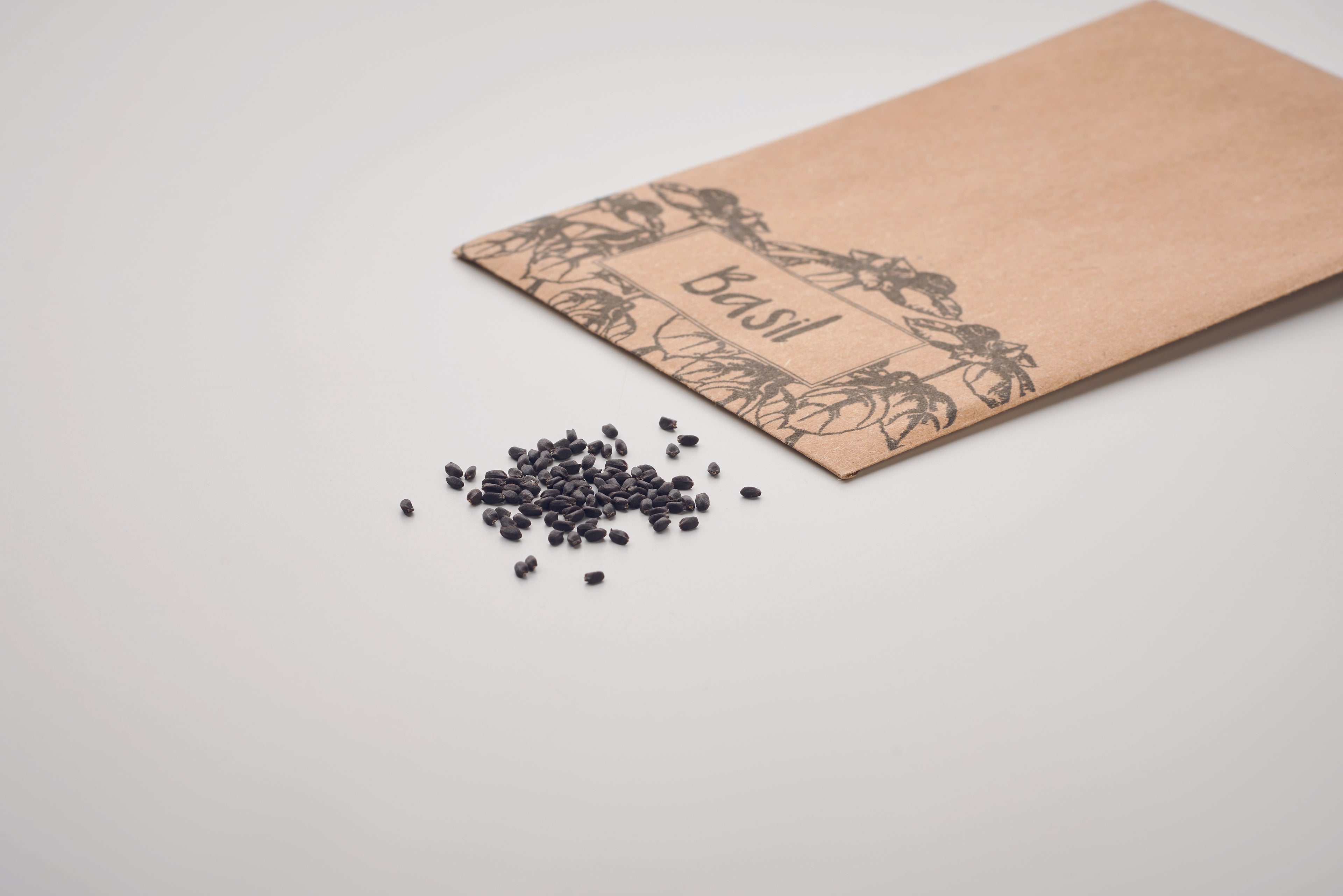 Semințe de busuioc în plic arti