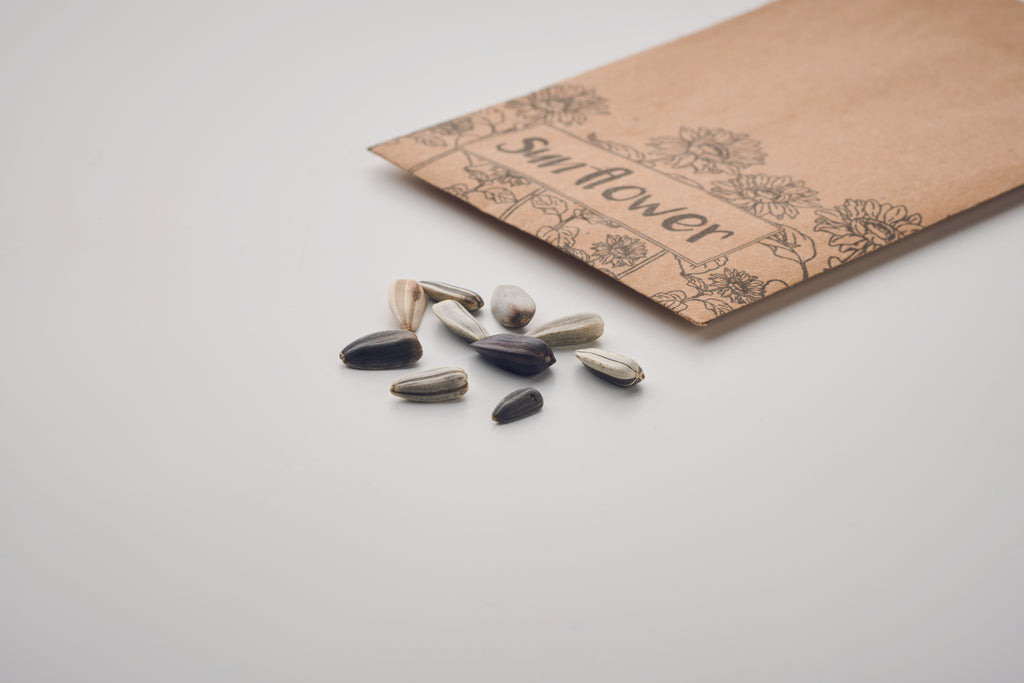 Semințe de floarea-soarelui în