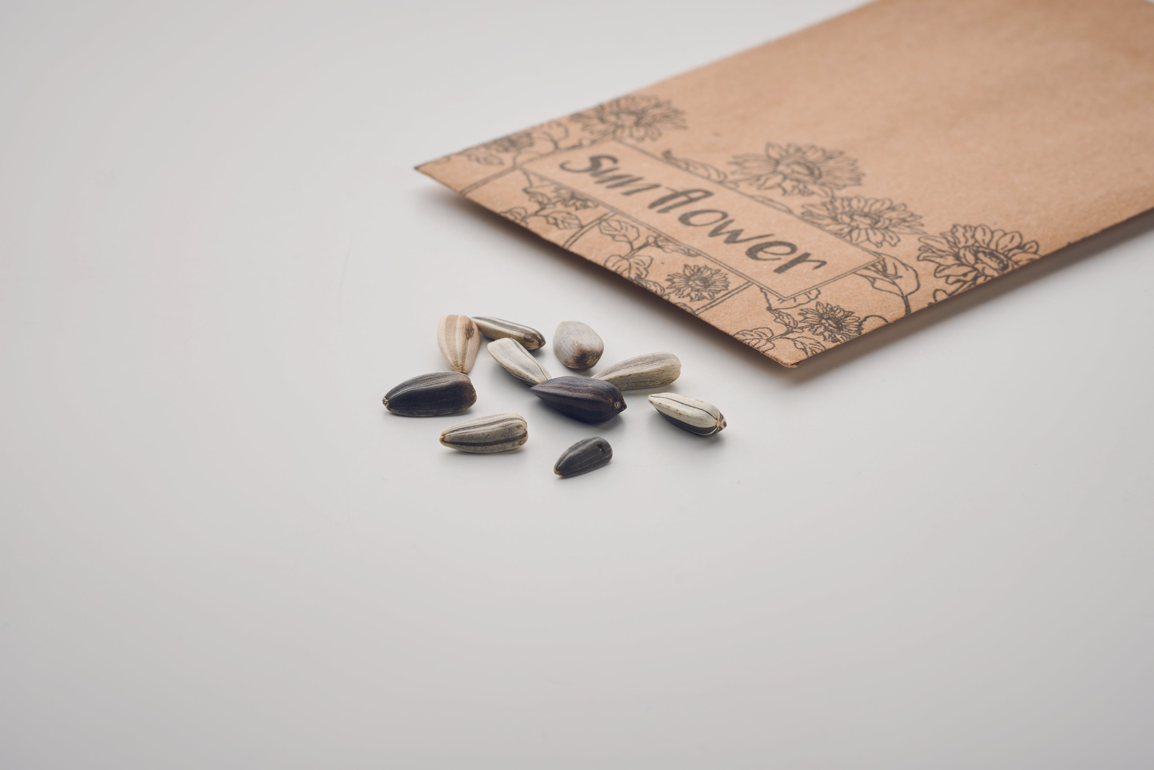 Semințe de floarea-soarelui în