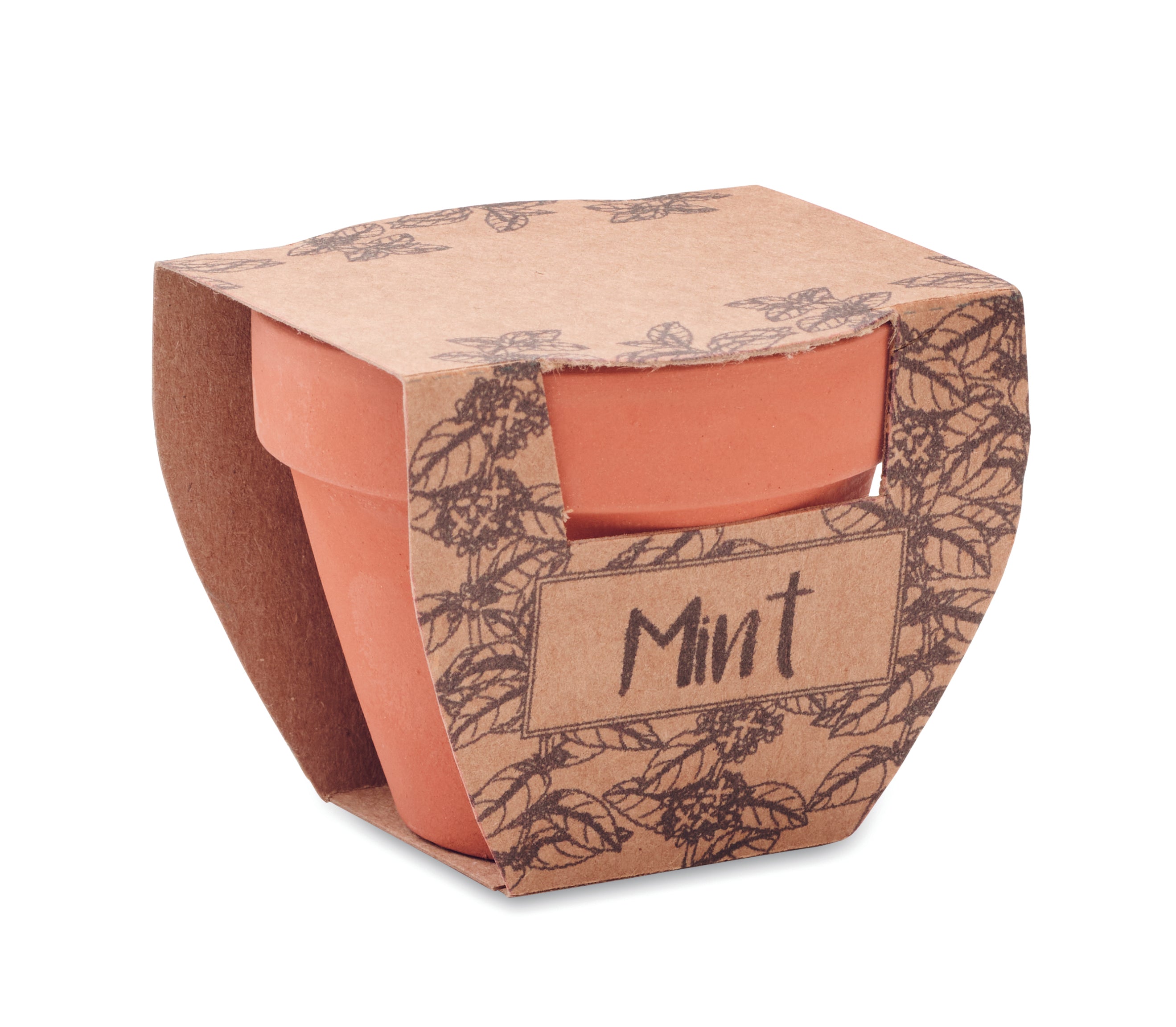 Semințe mentă în ghiveci de ter