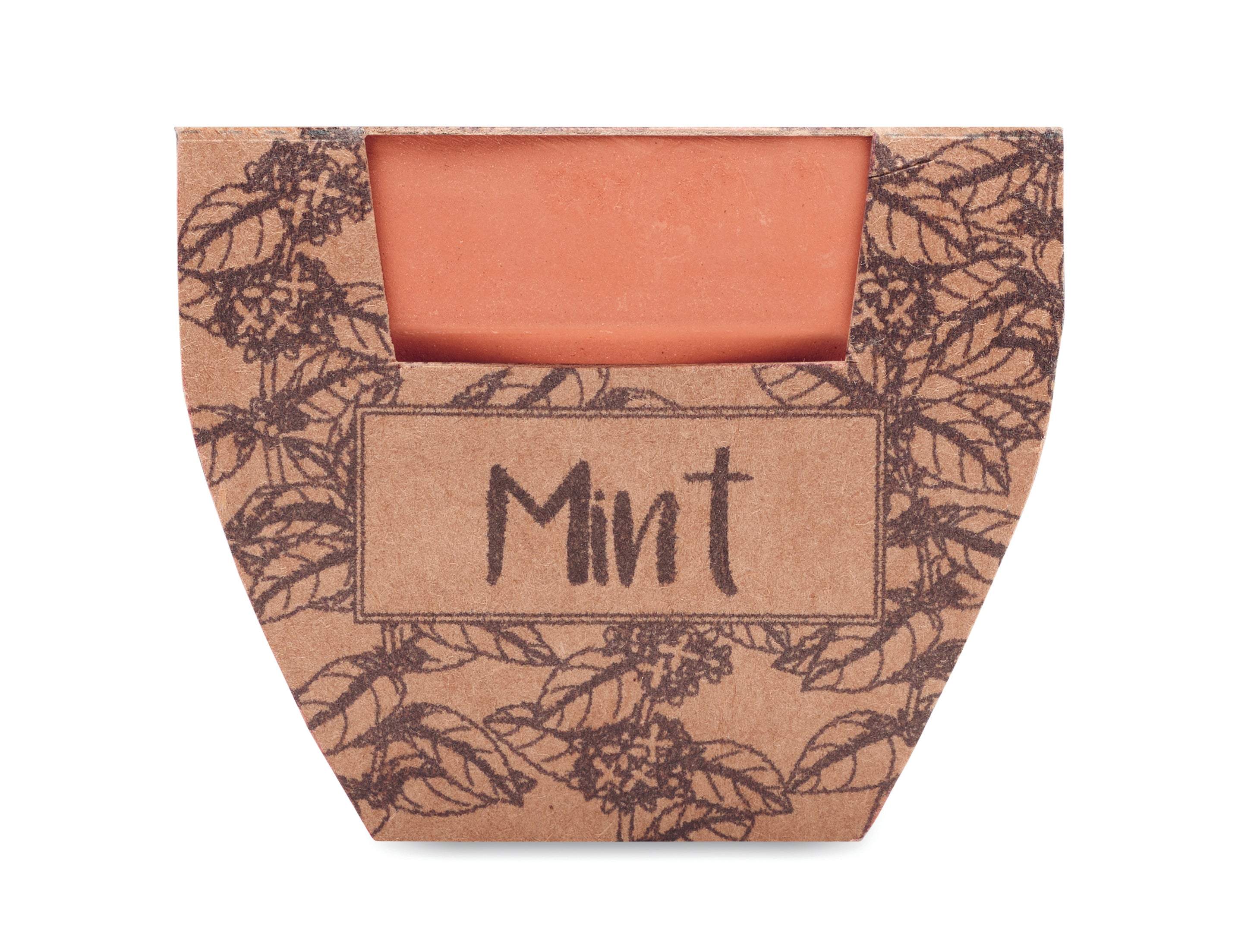 Semințe mentă în ghiveci de ter