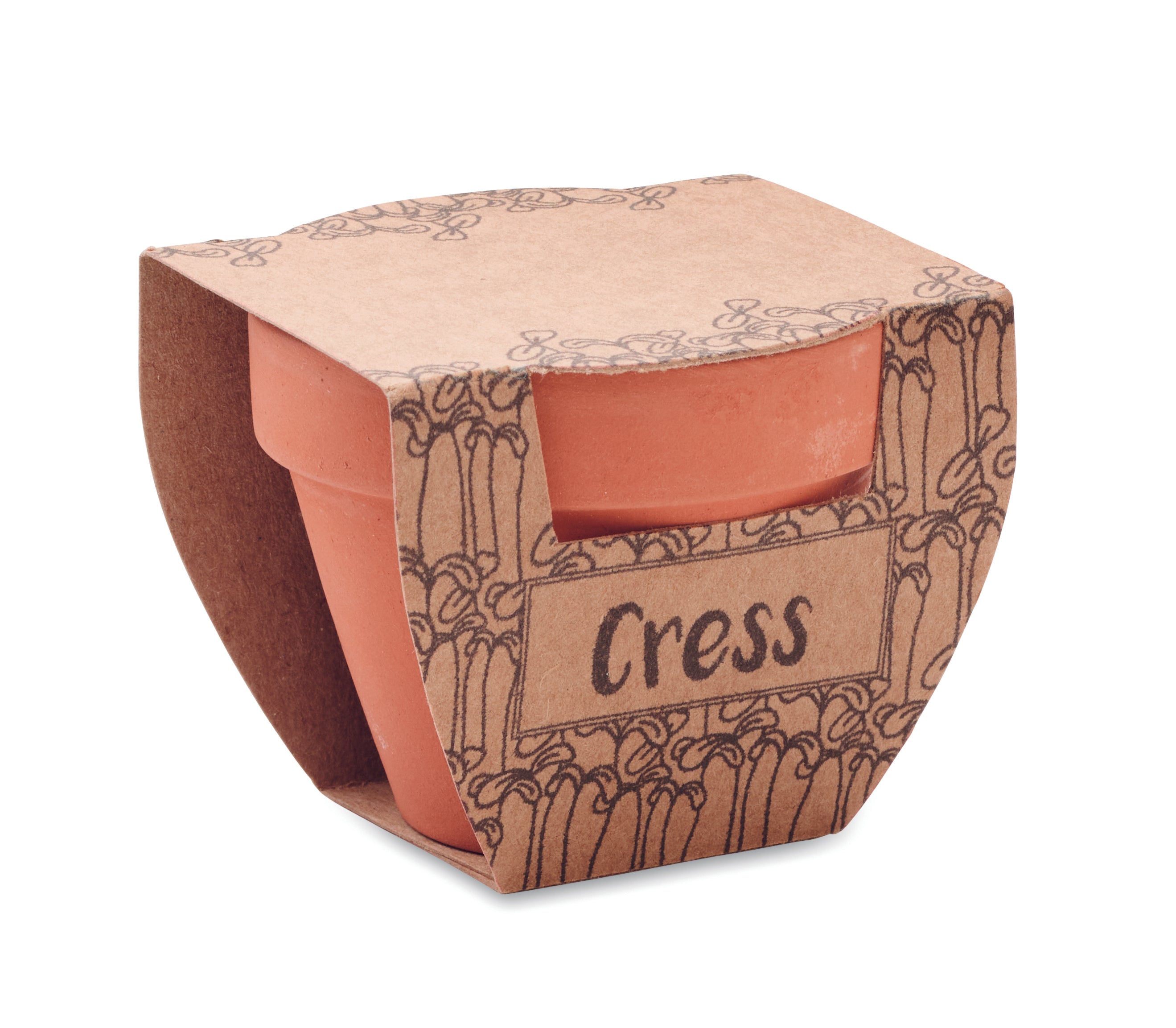 Semințe creson în ghiveci de terac