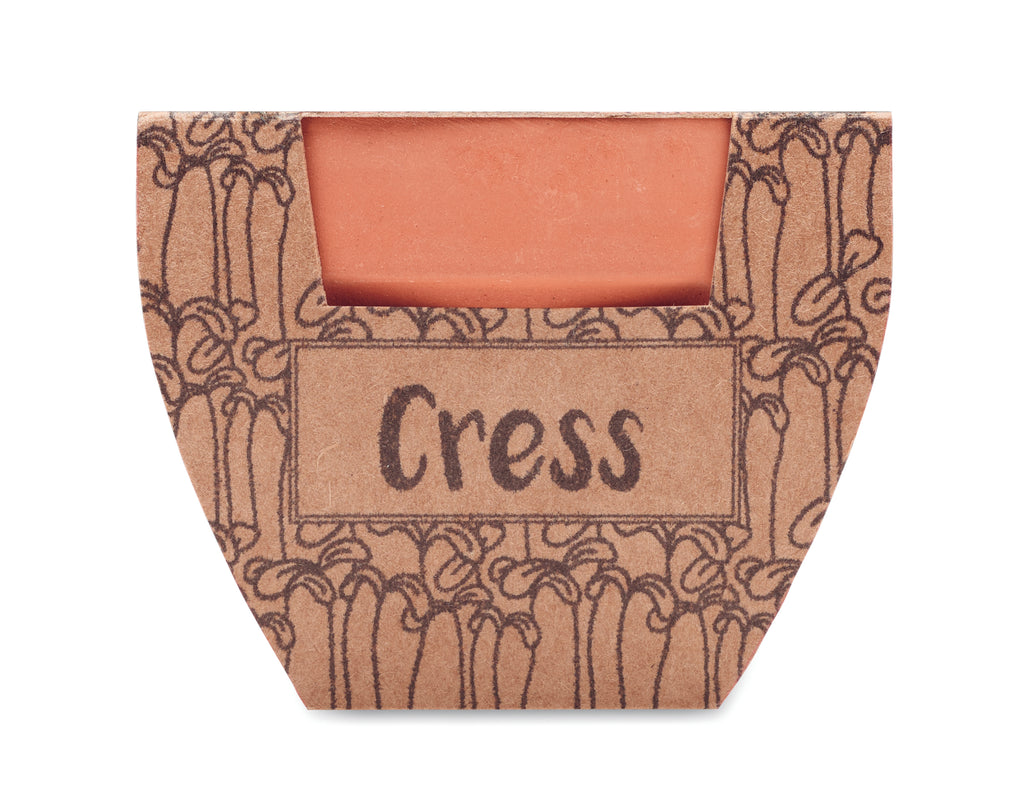 Semințe creson în ghiveci de terac