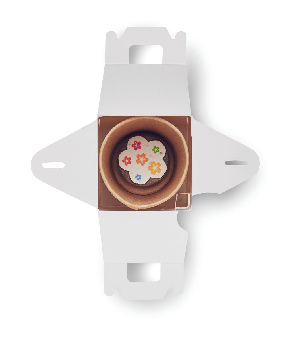 Set semințe în formă de casă