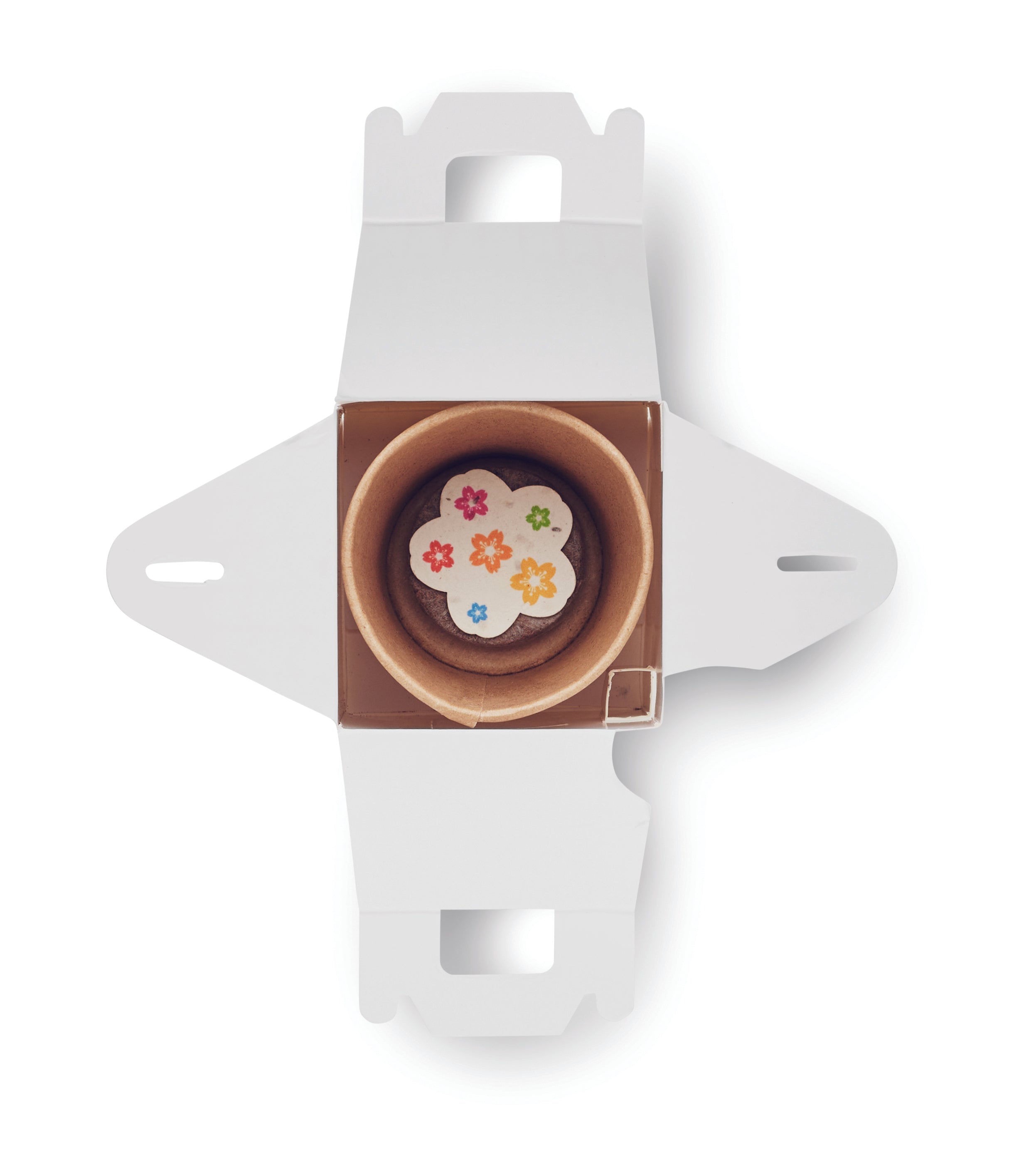 Set semințe în formă de casă