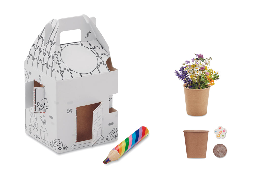 Set semințe în formă de casă