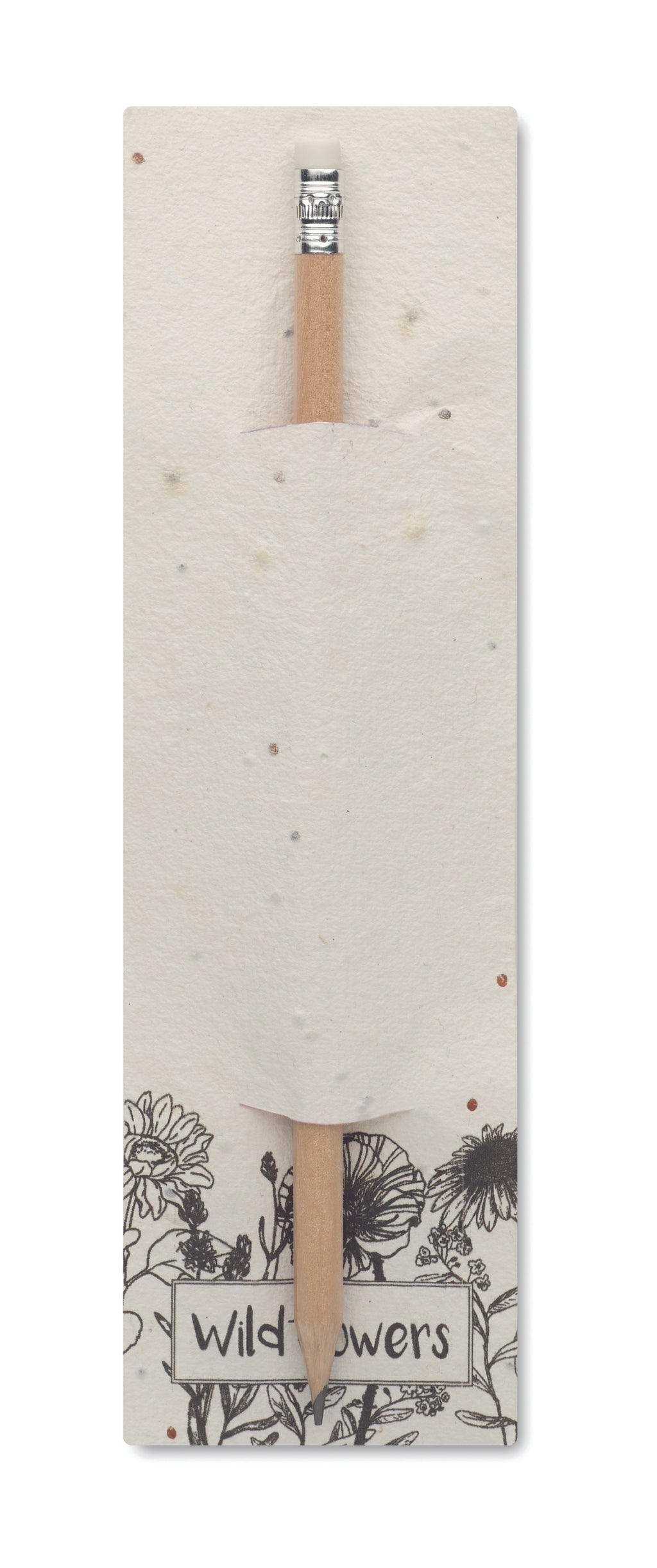 Creion natural în etui cu semințe