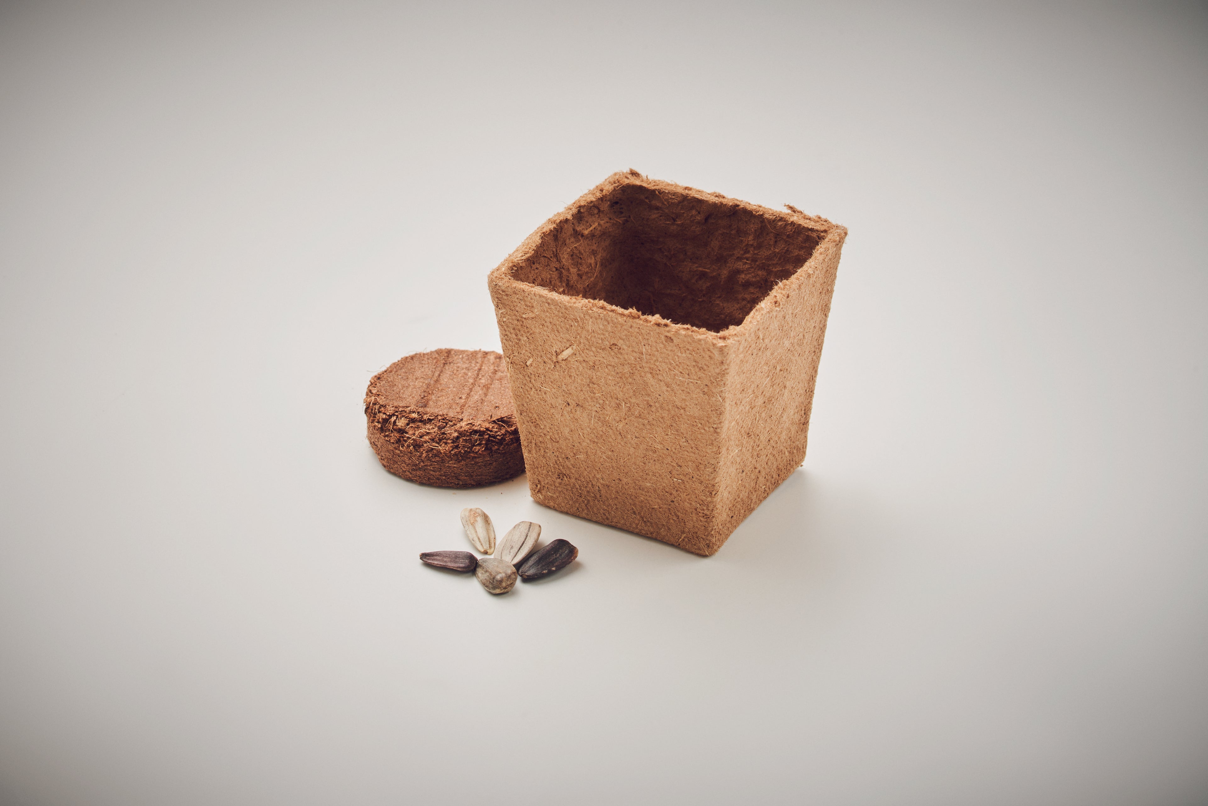 Kit pentru cultivarea florii-so