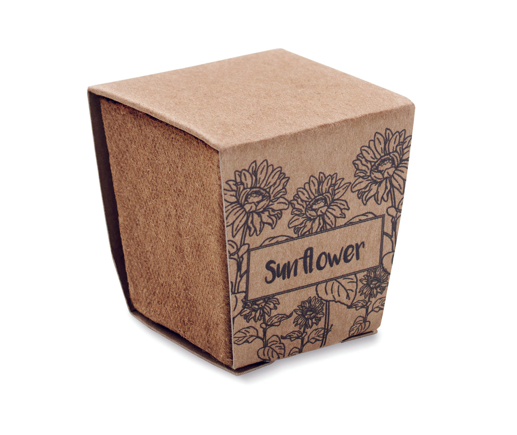 Kit pentru cultivarea florii-so