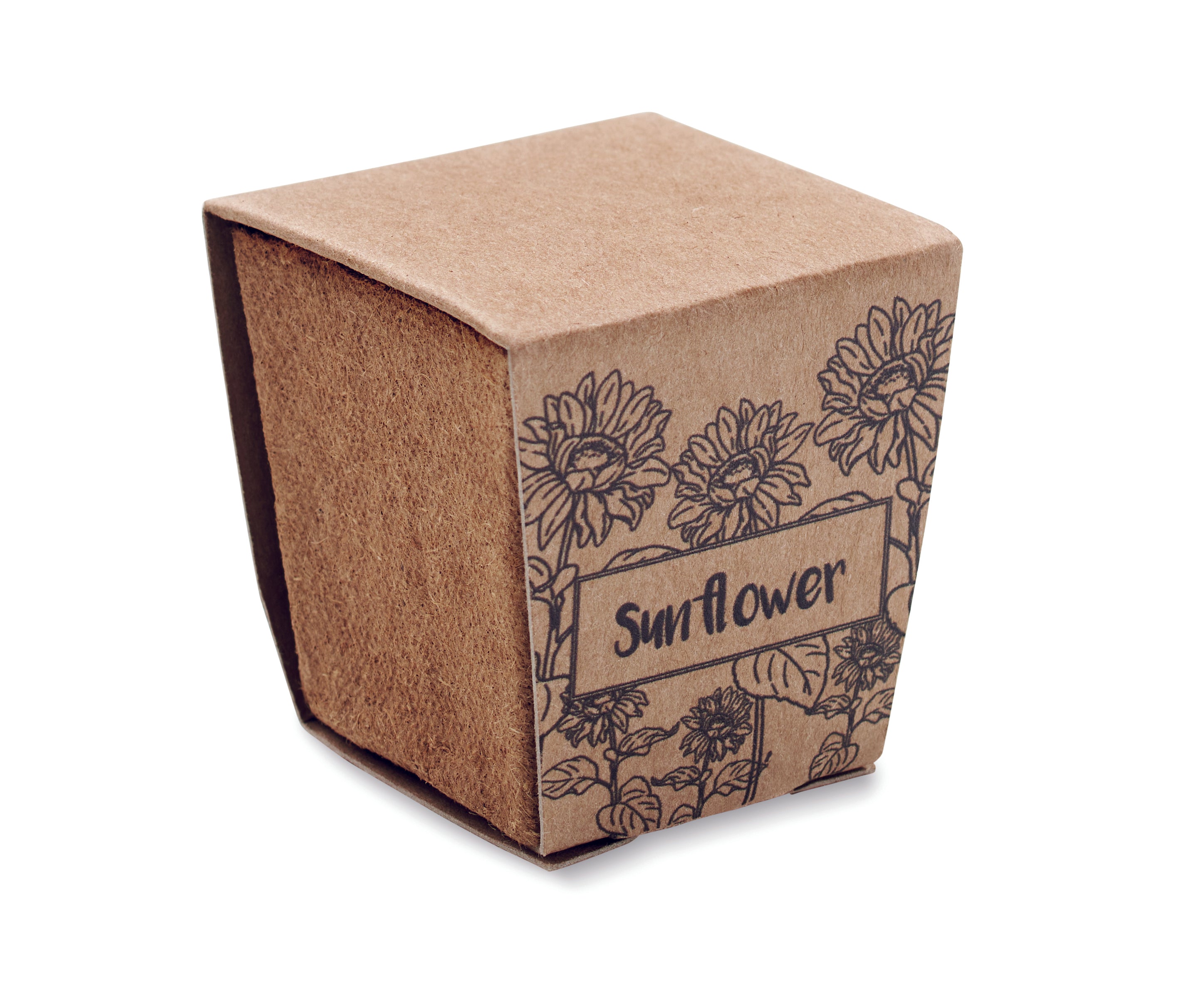 Kit pentru cultivarea florii-so