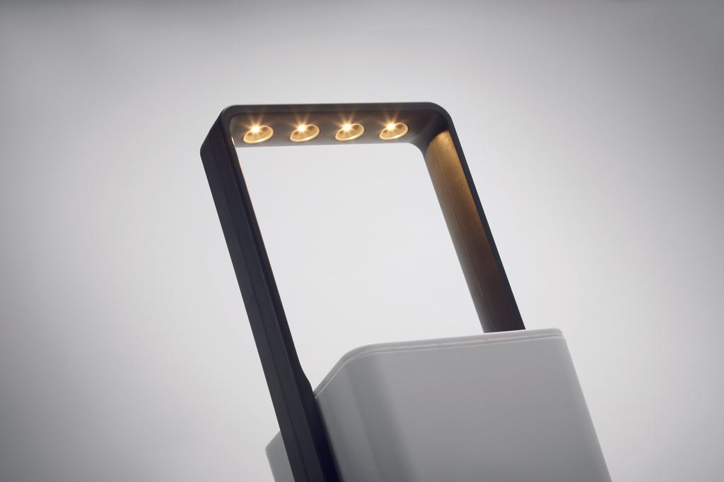 Grădină interior cu LED