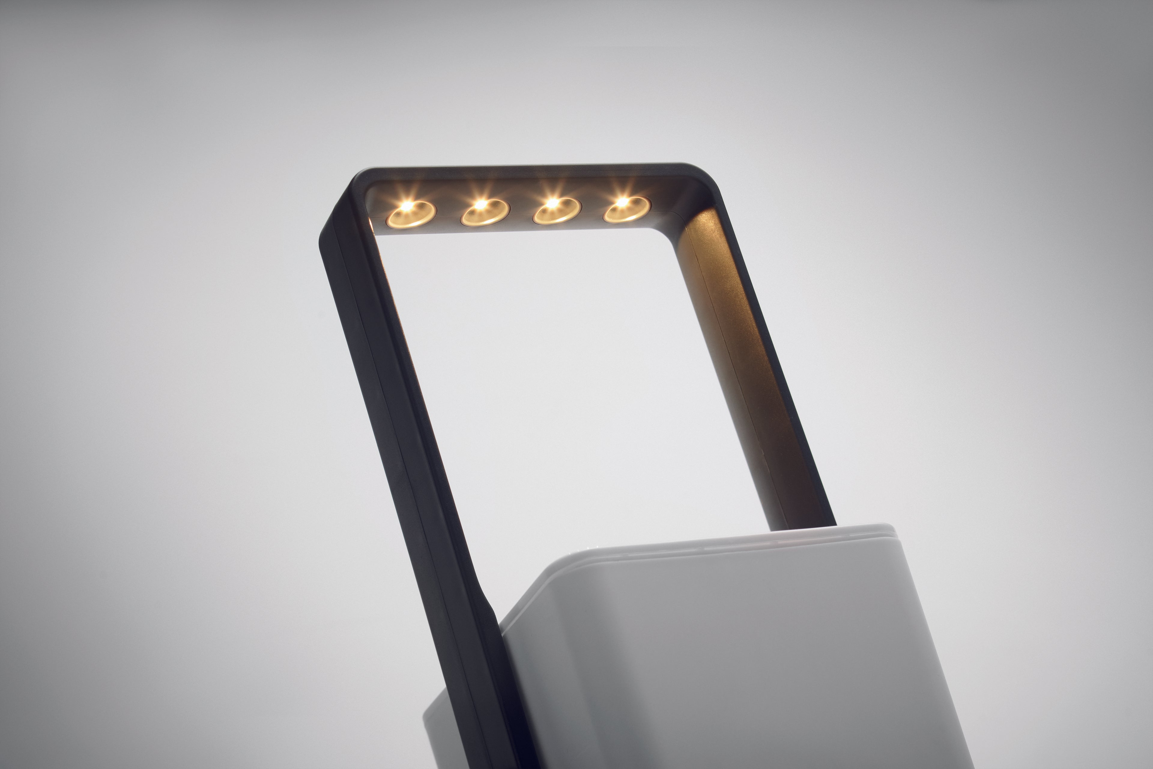 Grădină interior cu LED