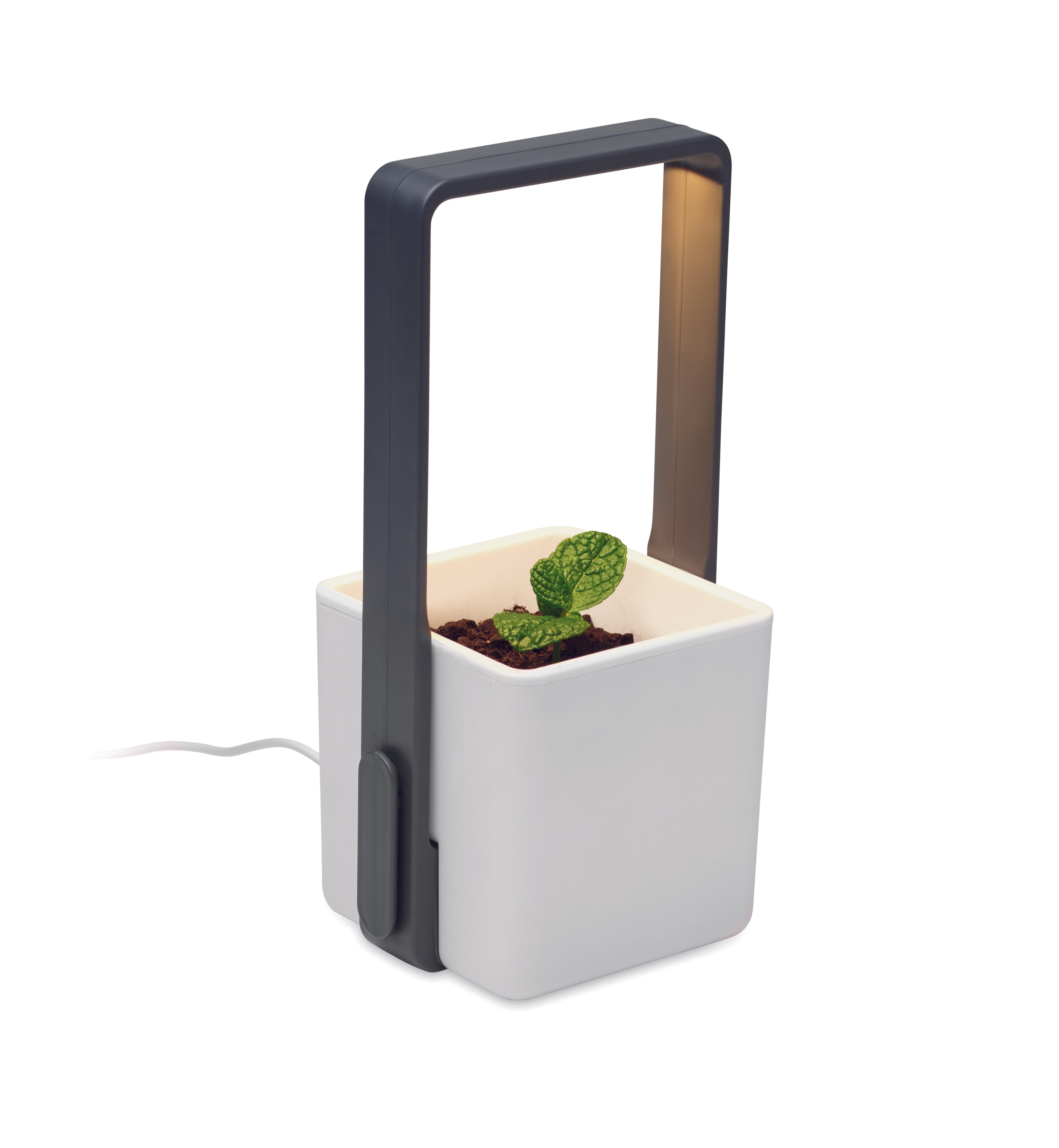 Grădină interior cu LED