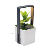 Grădină interior cu LED