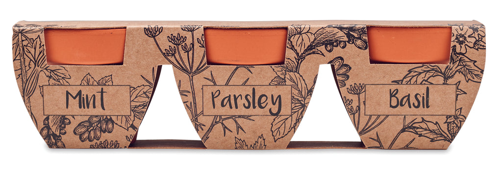 Set vase teracotă - 3 ierburi