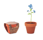 Vas teracota "nu ma uita"