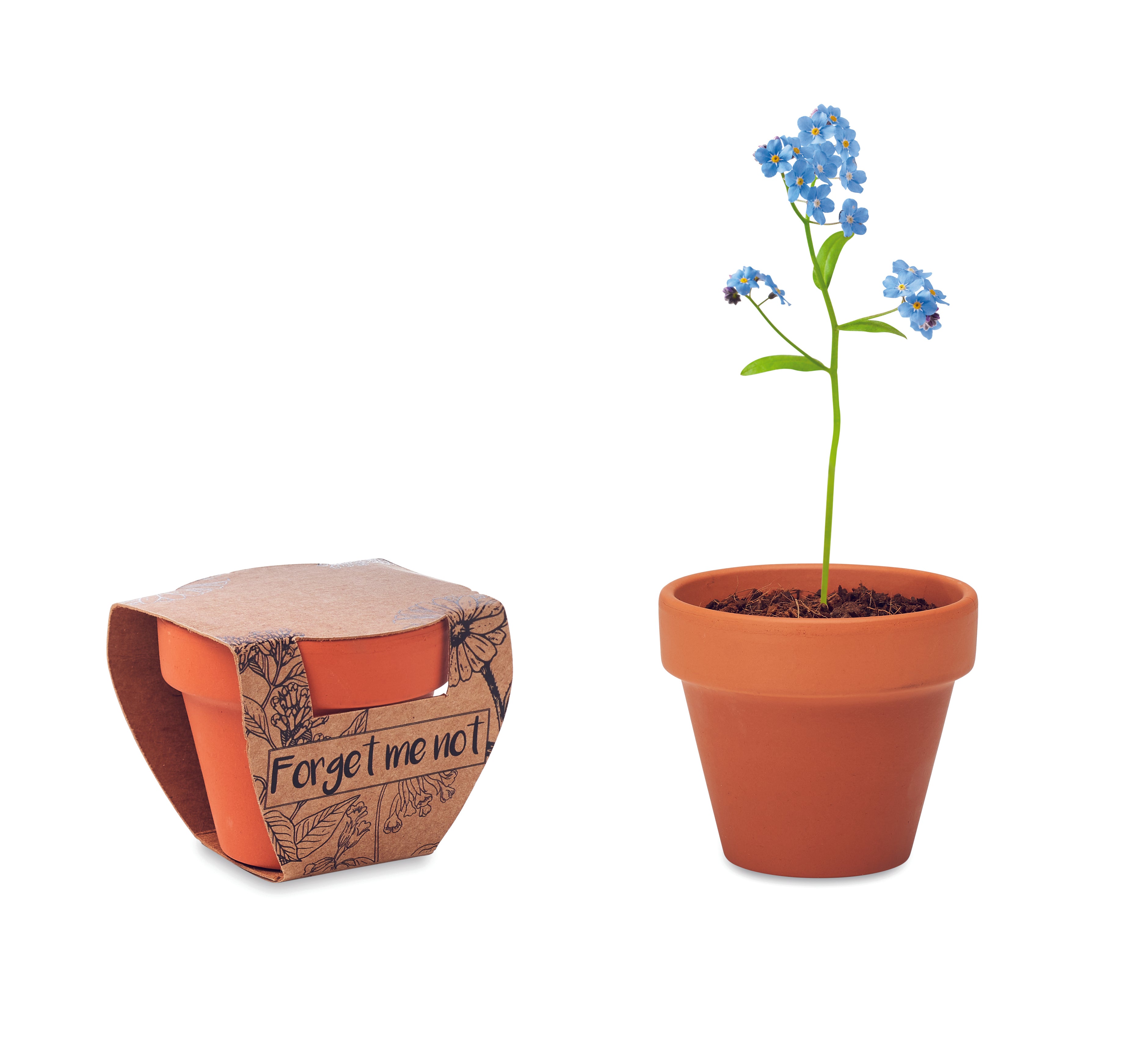 Vas teracota "nu ma uita"