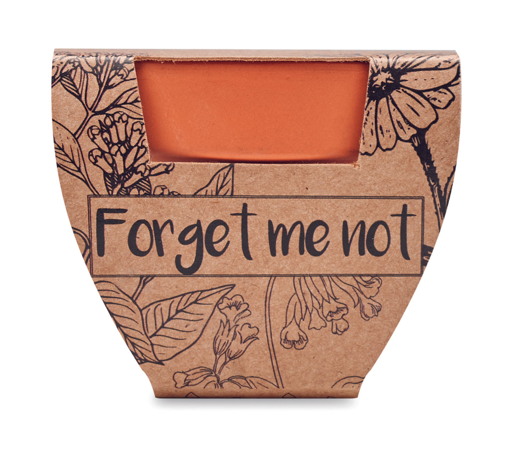 Vas teracota "nu ma uita"