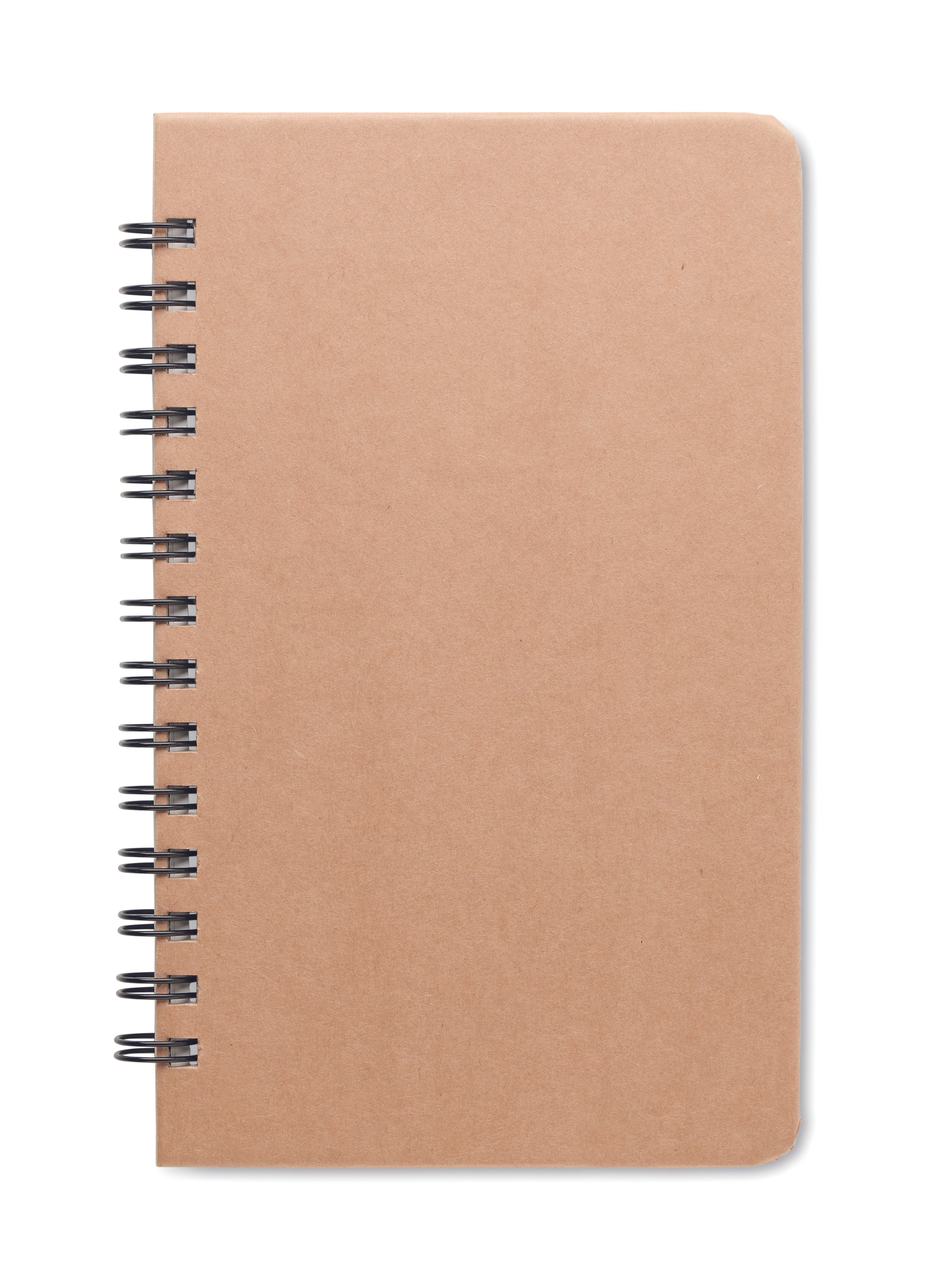 Caiet cu semințe pin