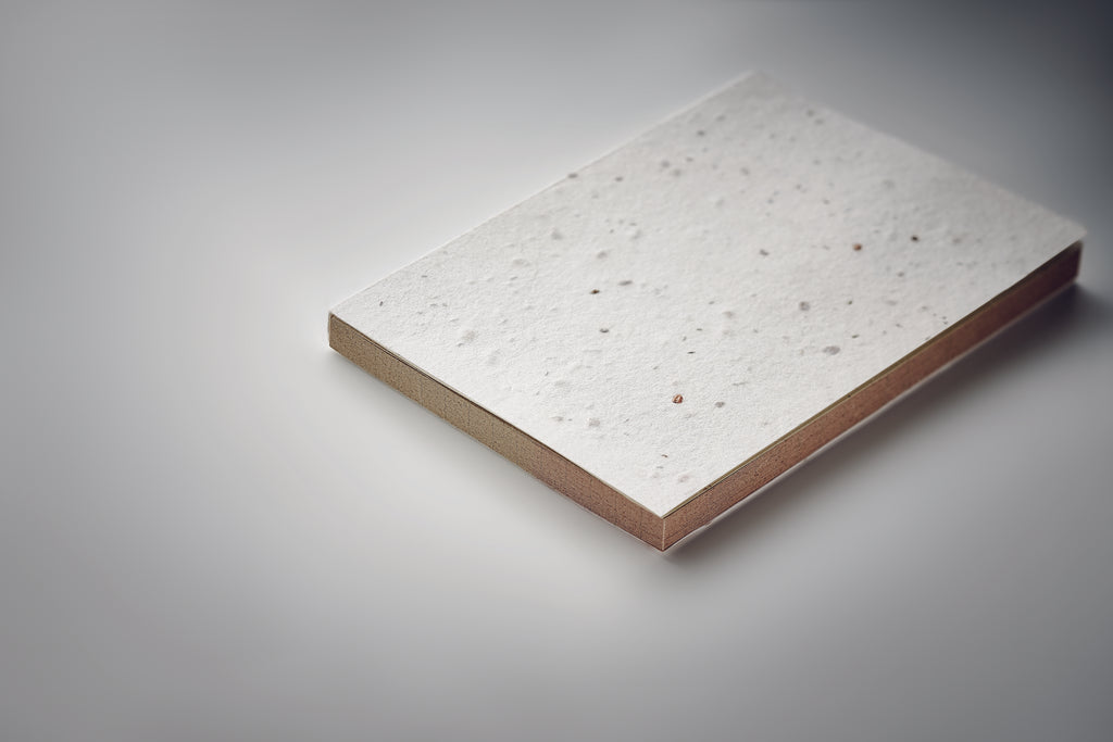 Bloc Memo cu semințe iarbă