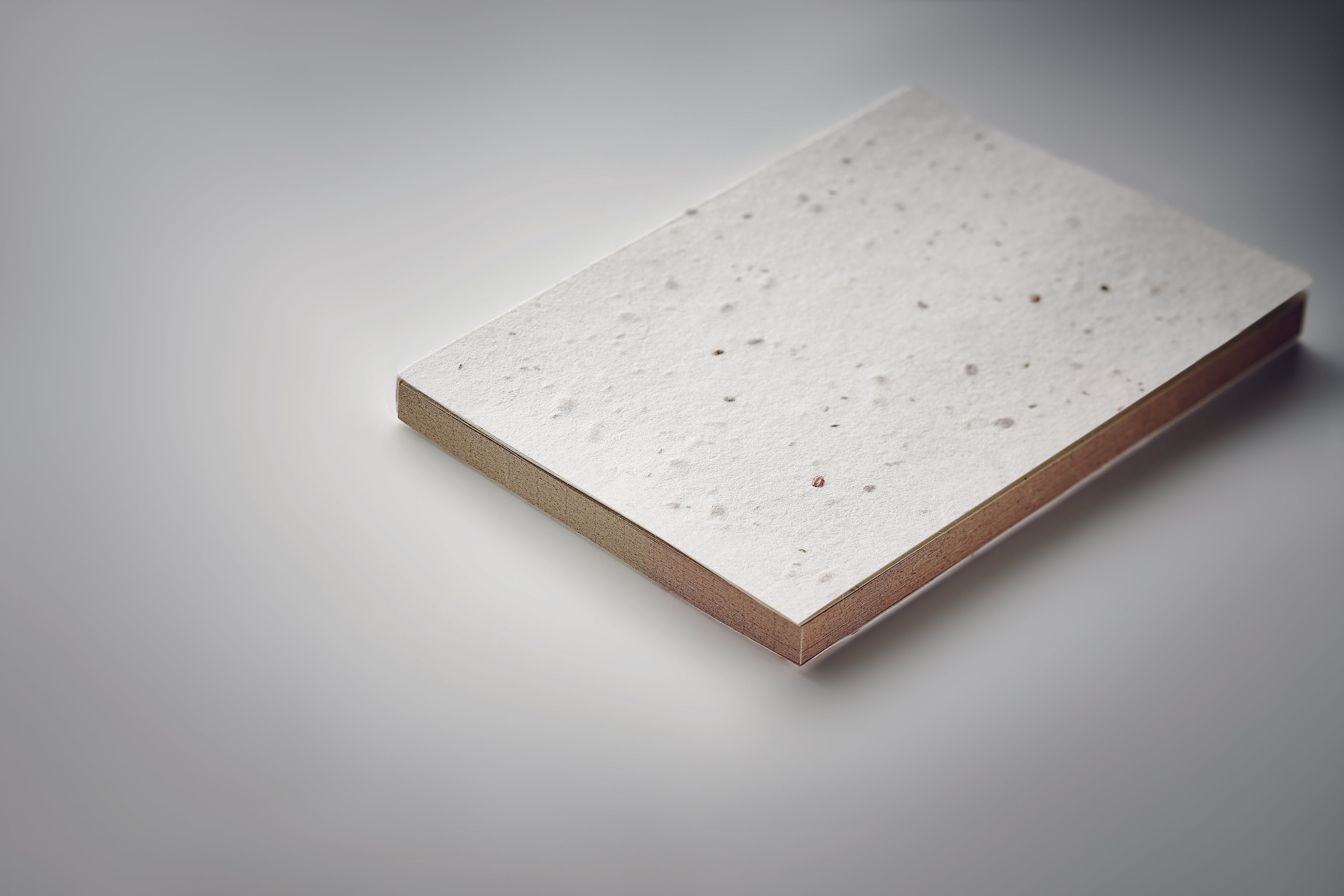 Bloc Memo cu semințe iarbă