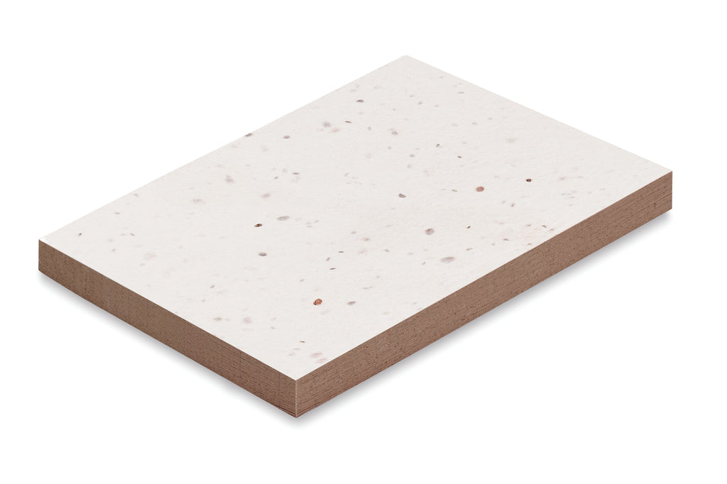 Bloc Memo cu semințe iarbă