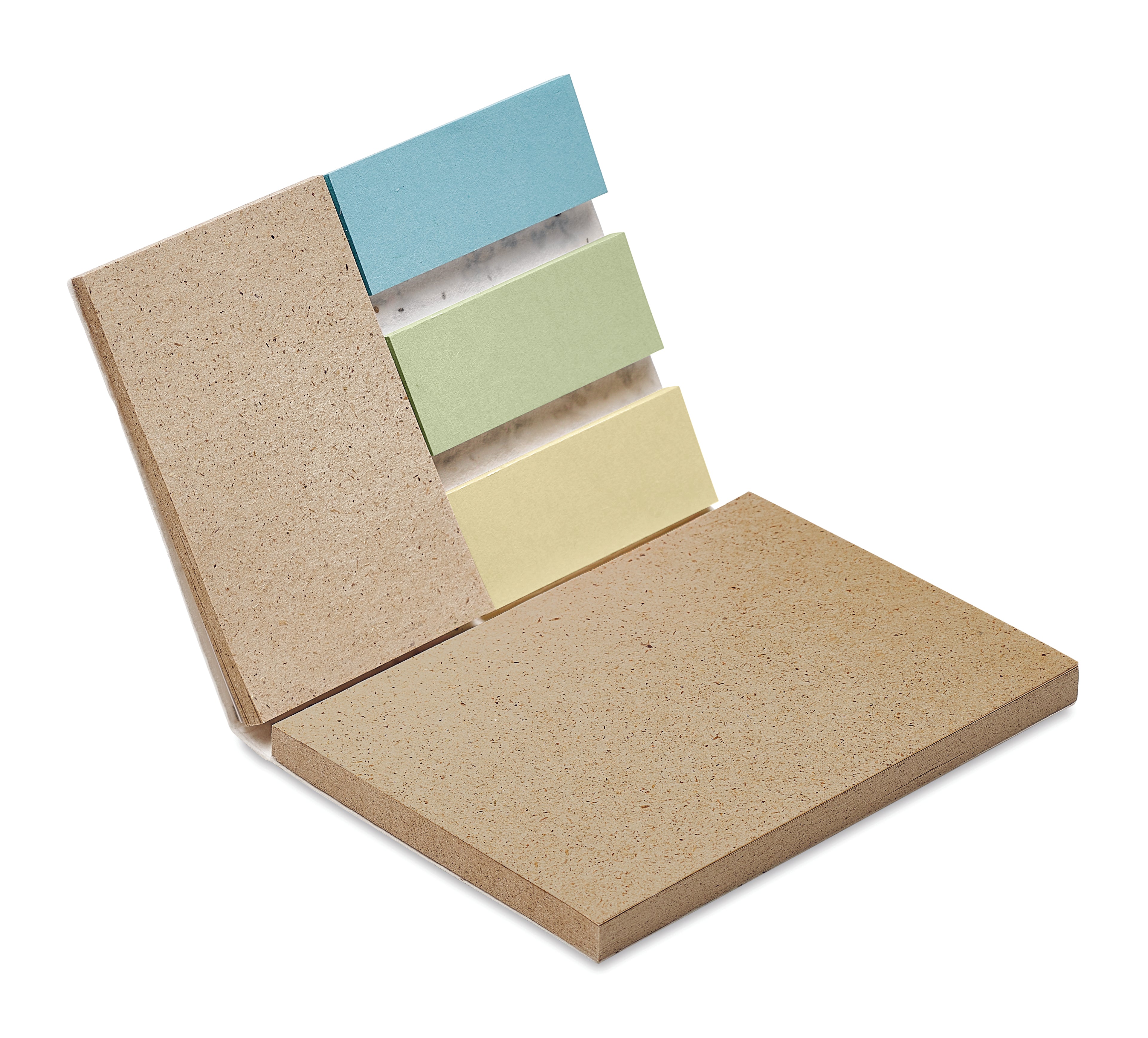 Set Bloc Memo cu semințe iarbă