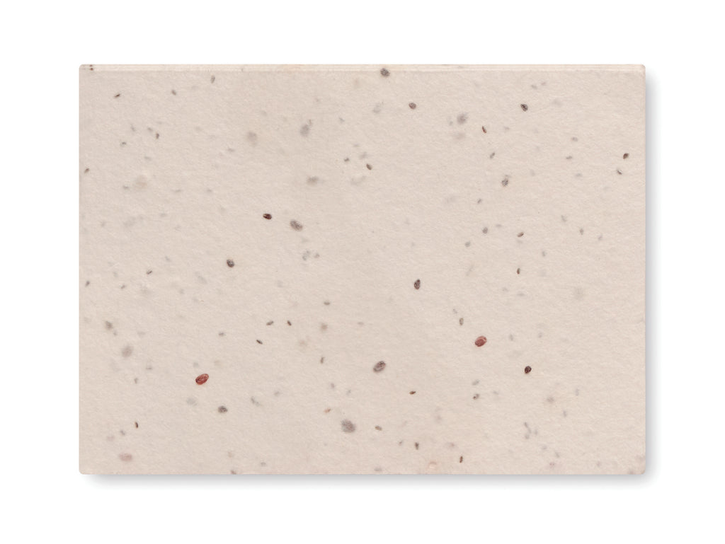 Set Bloc Memo cu semințe iarbă