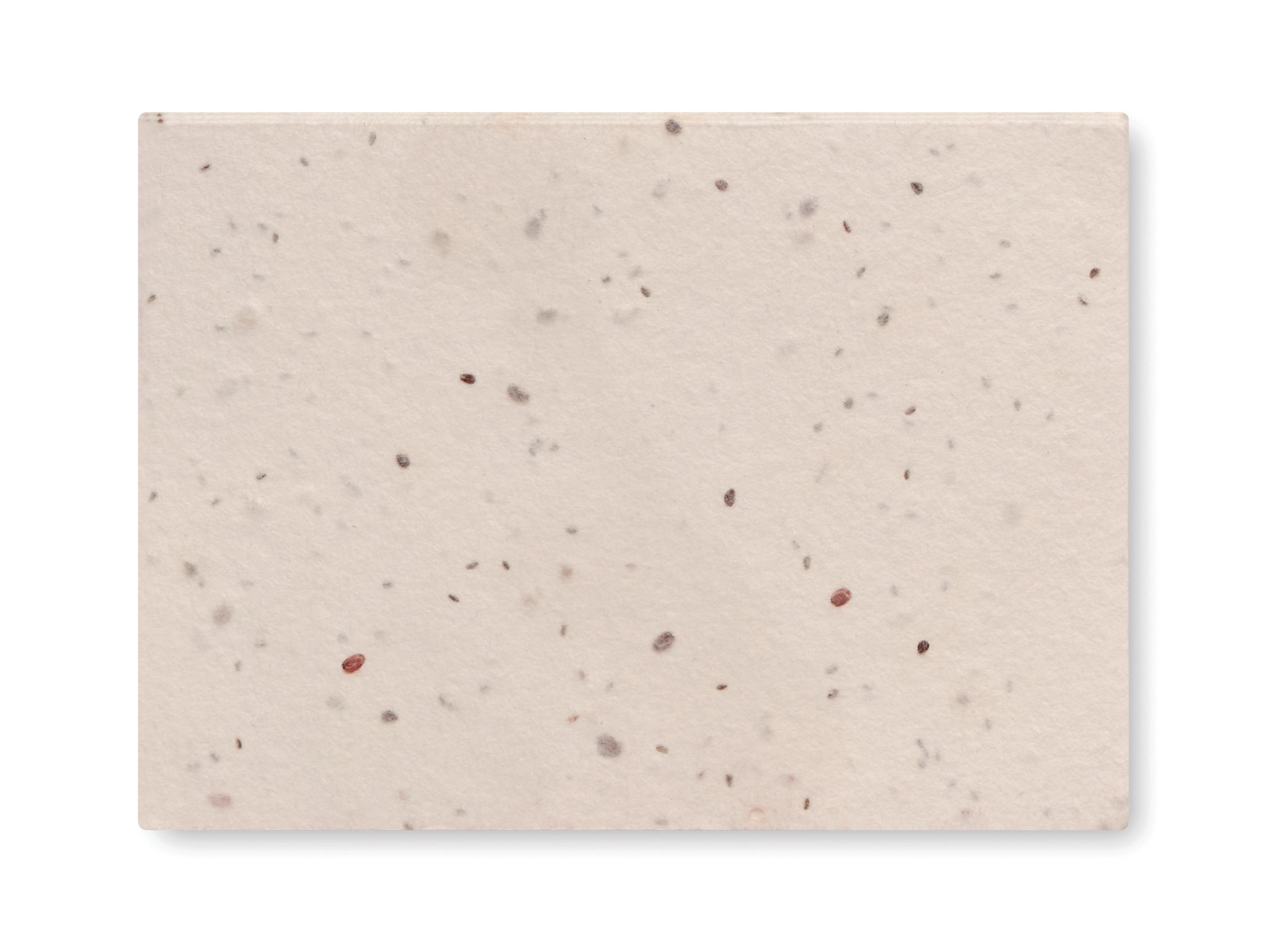 Set Bloc Memo cu semințe iarbă