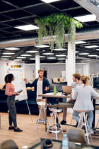 Sticlă RPET de 600ml