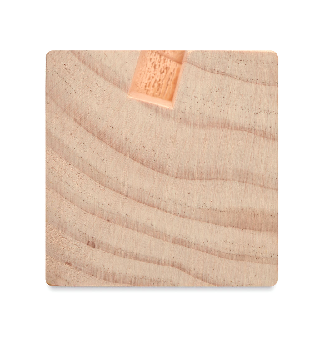 Suport birou cu kit de semințe